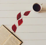 Ambiente sereno que simboliza el enfoque holístico y el bienestar integral en Blanca’s Touch