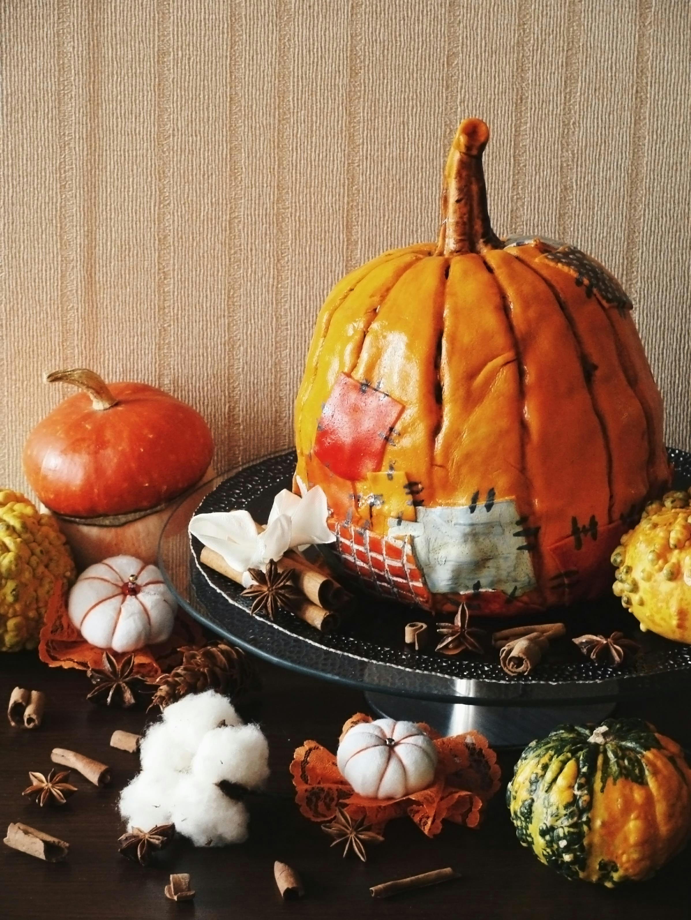 Herbst-Ernte-Ausstellung mit Kürbissen und Kürbissen