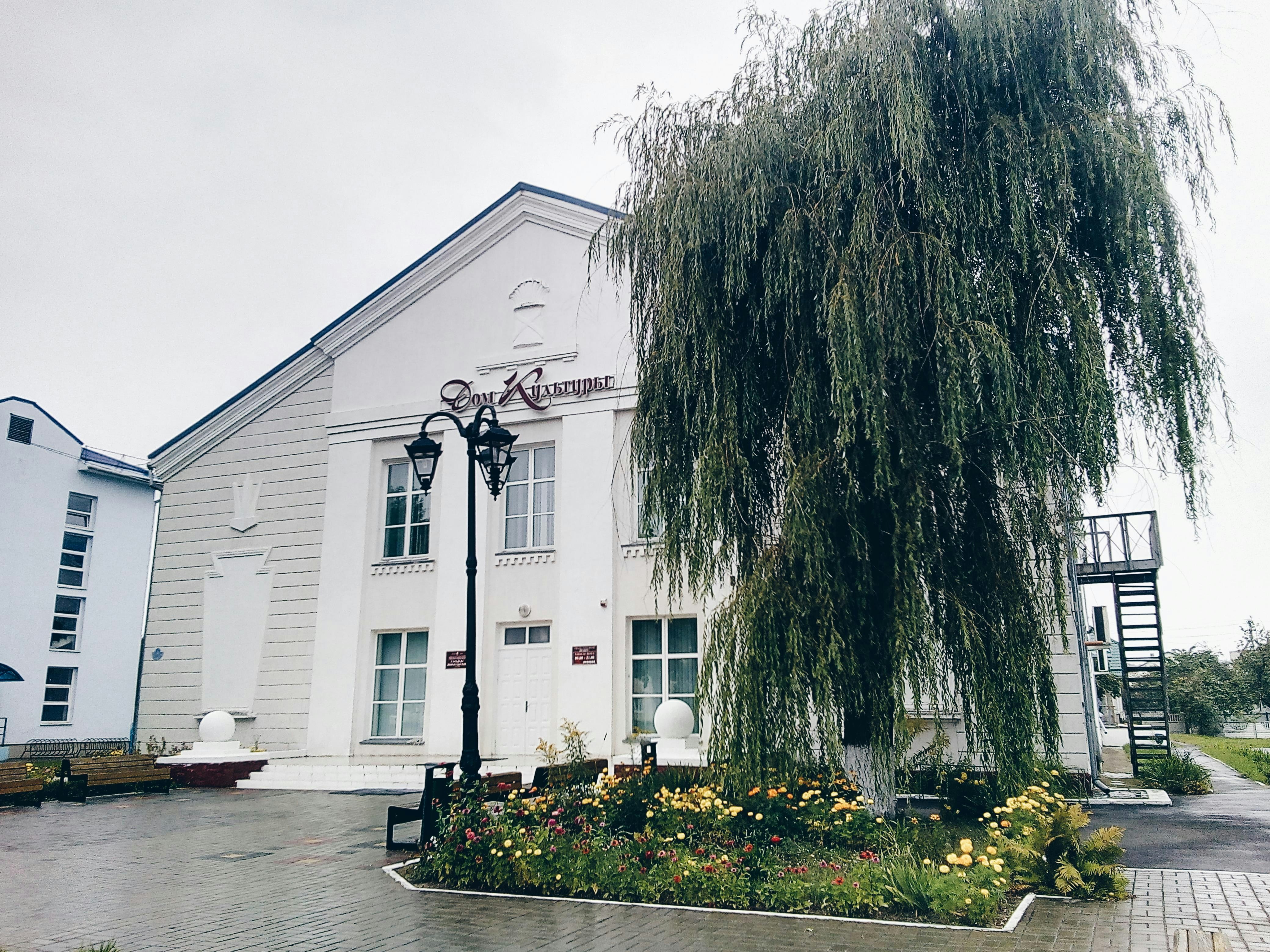 White building with a large weeping willow tree.