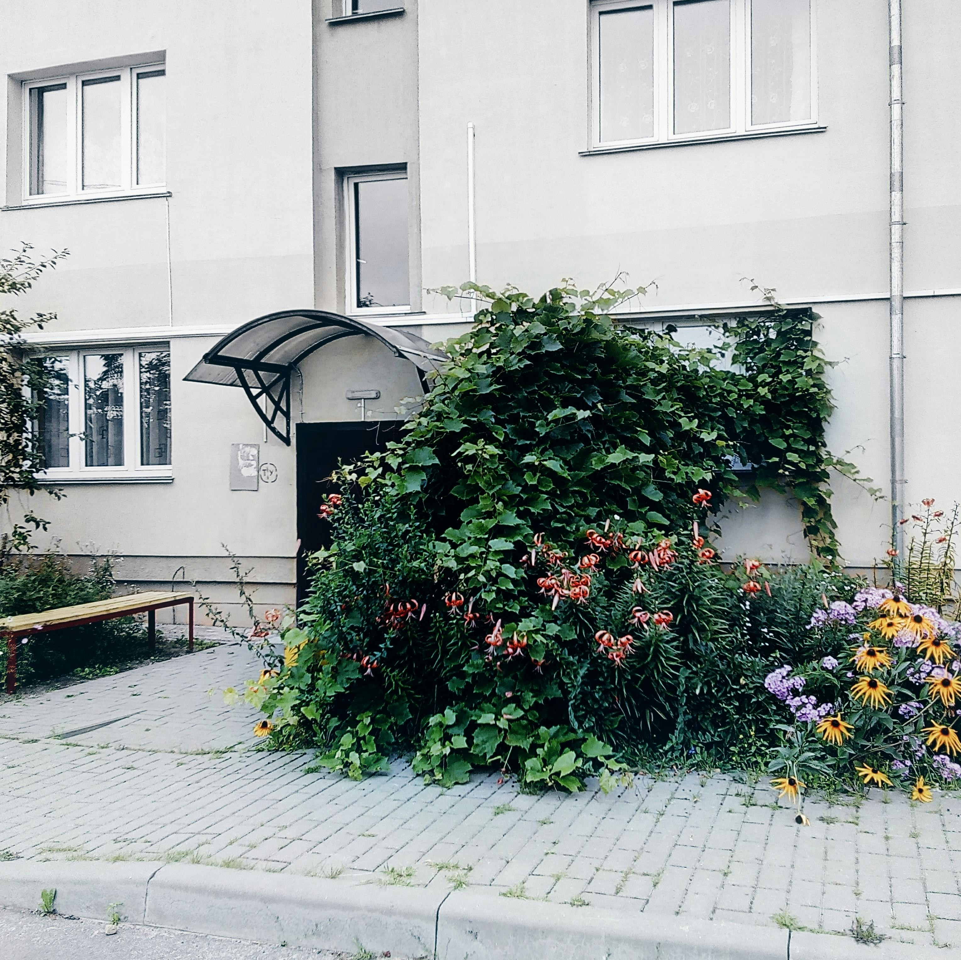 Entrada del edificio con plantas y flores despobladas