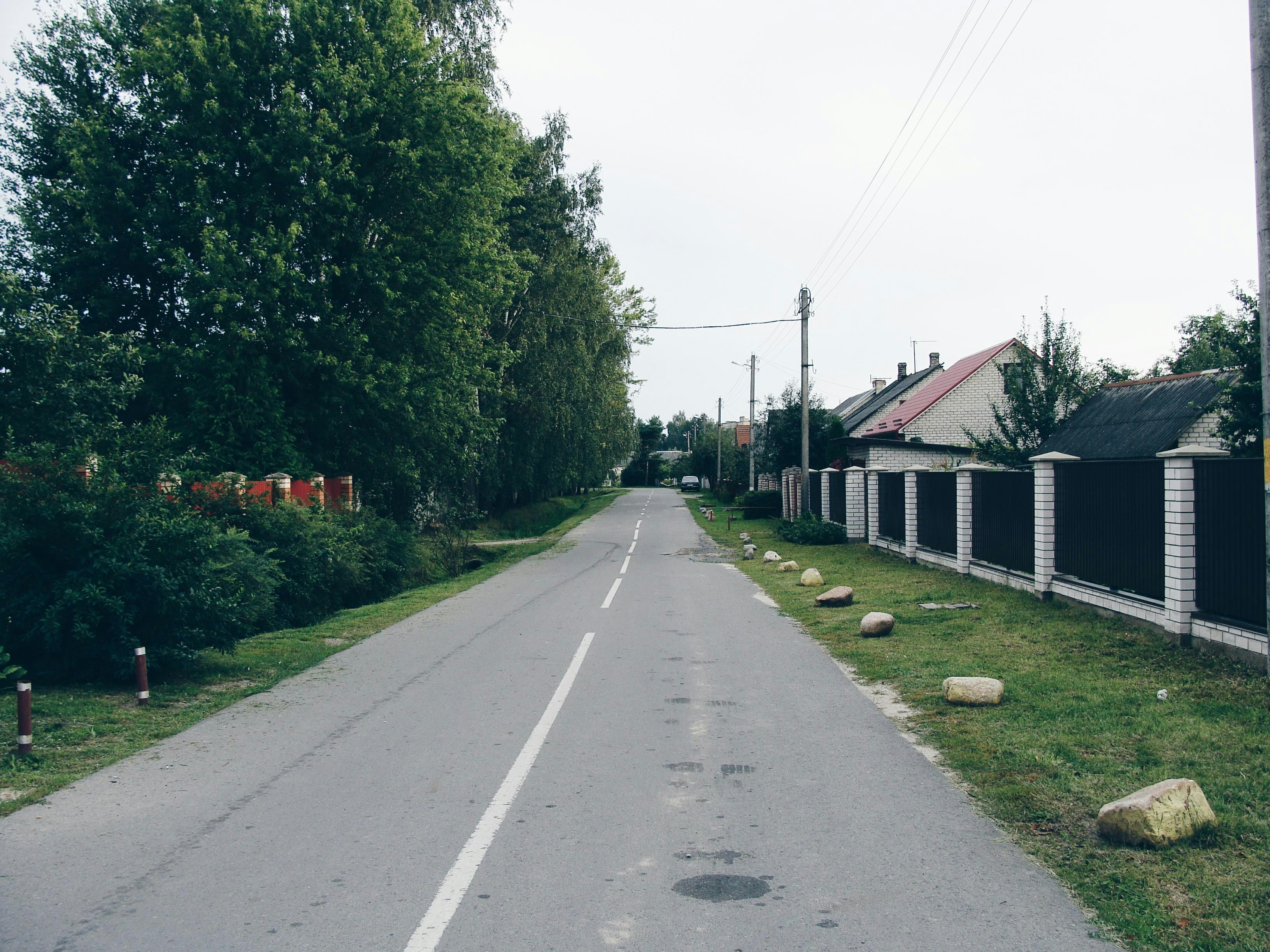 A straight road lined with trees and houses.