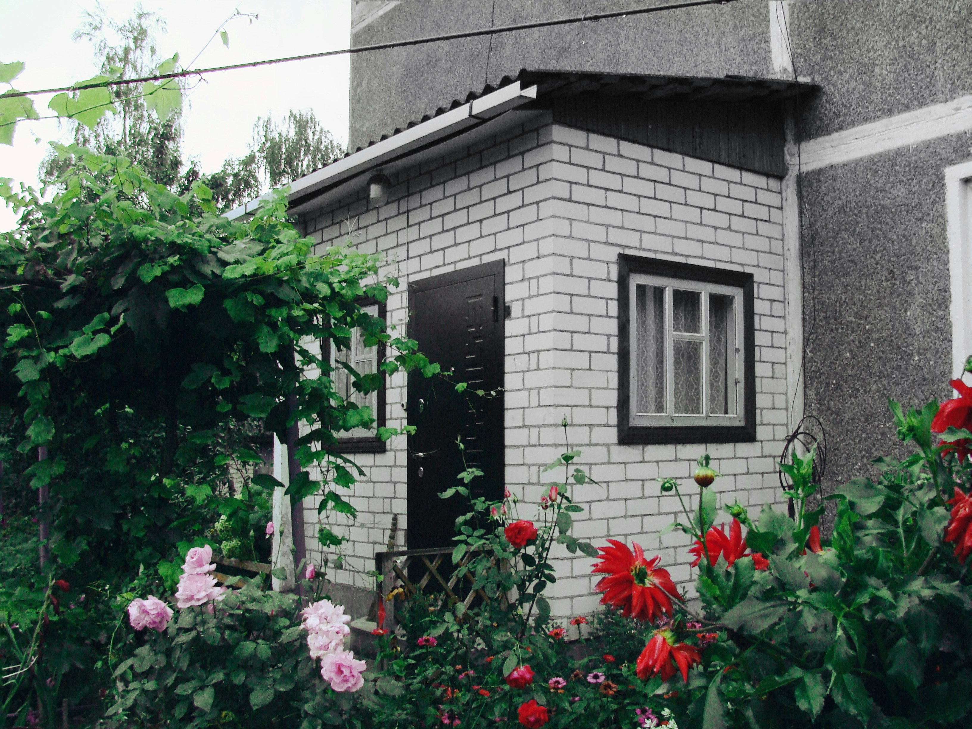 White painted brick porch with roses and garden