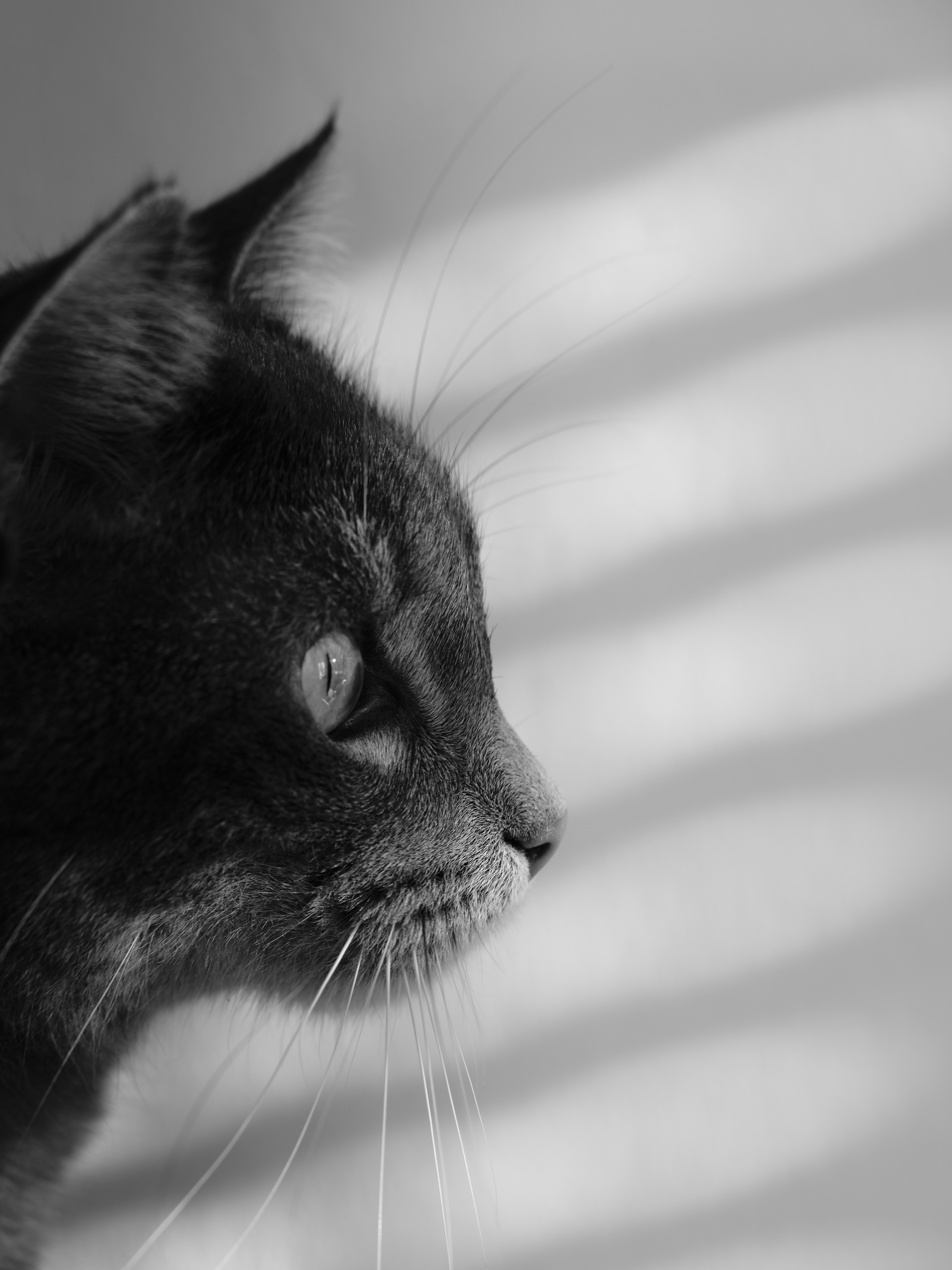 Photo by mikhail_mamaev