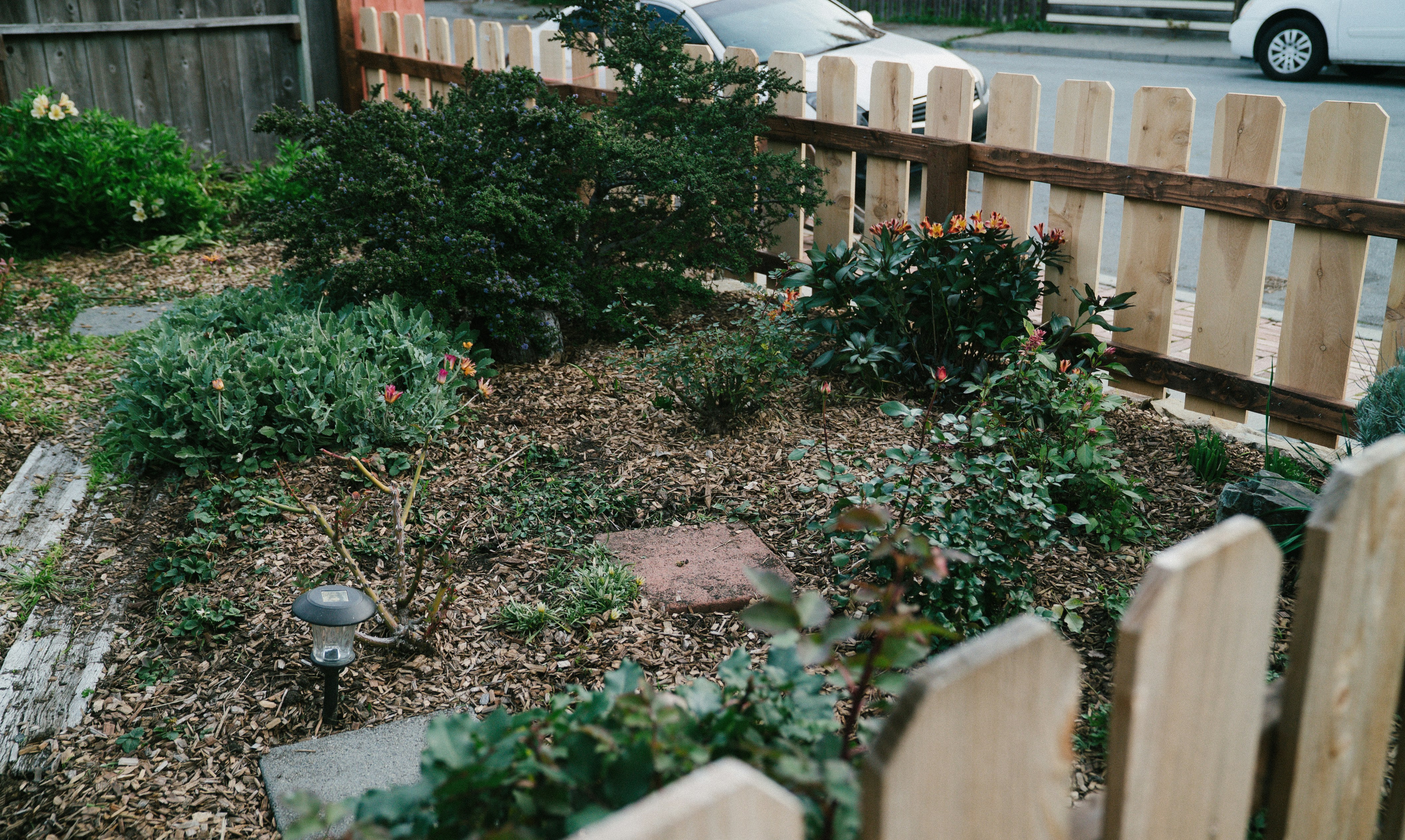 Plant Everything Together: The Balinese Polyculture Method That's Quietly Outgrowing American Garden Rows