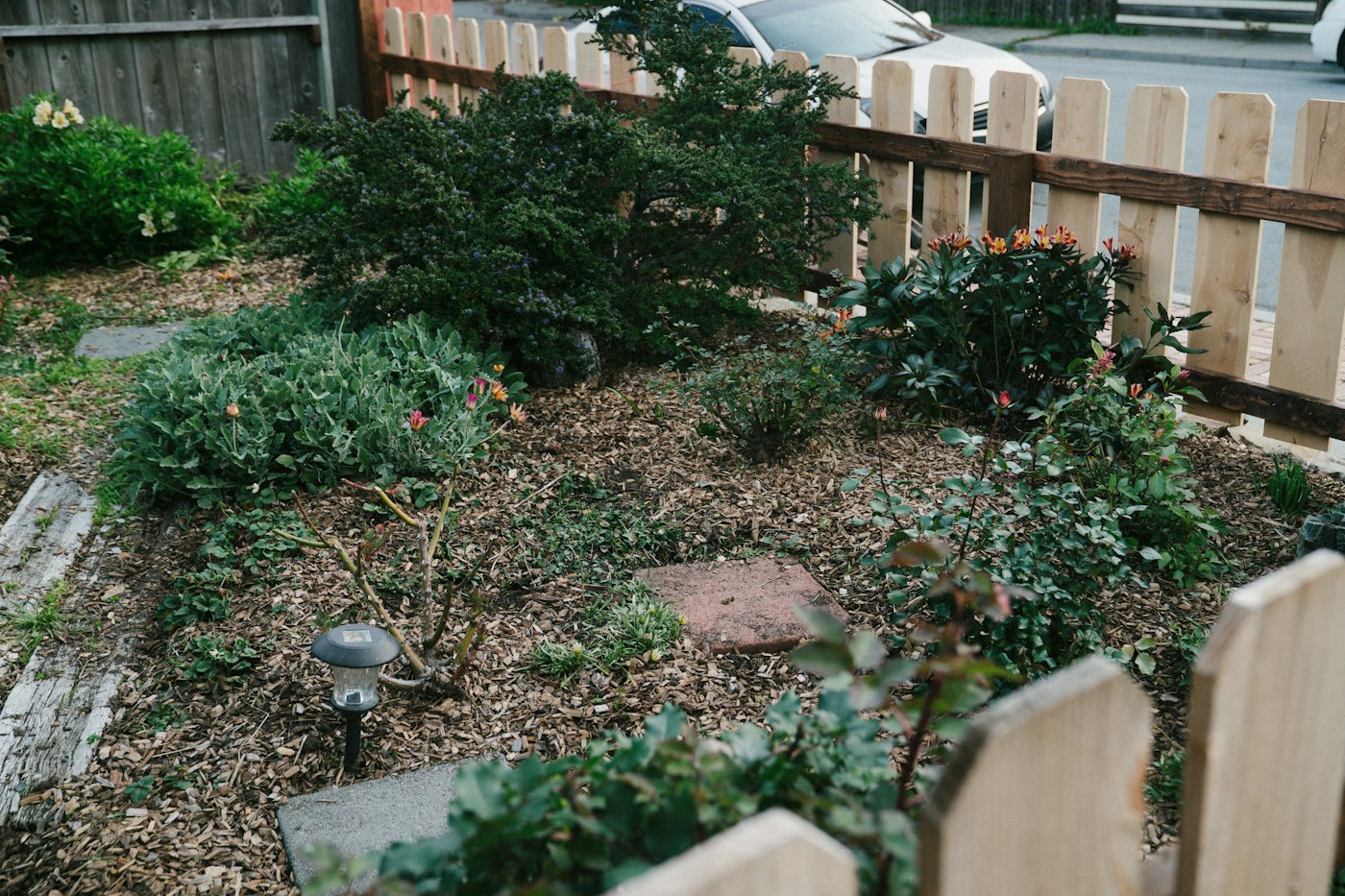 Small front garden behind a wooden fence