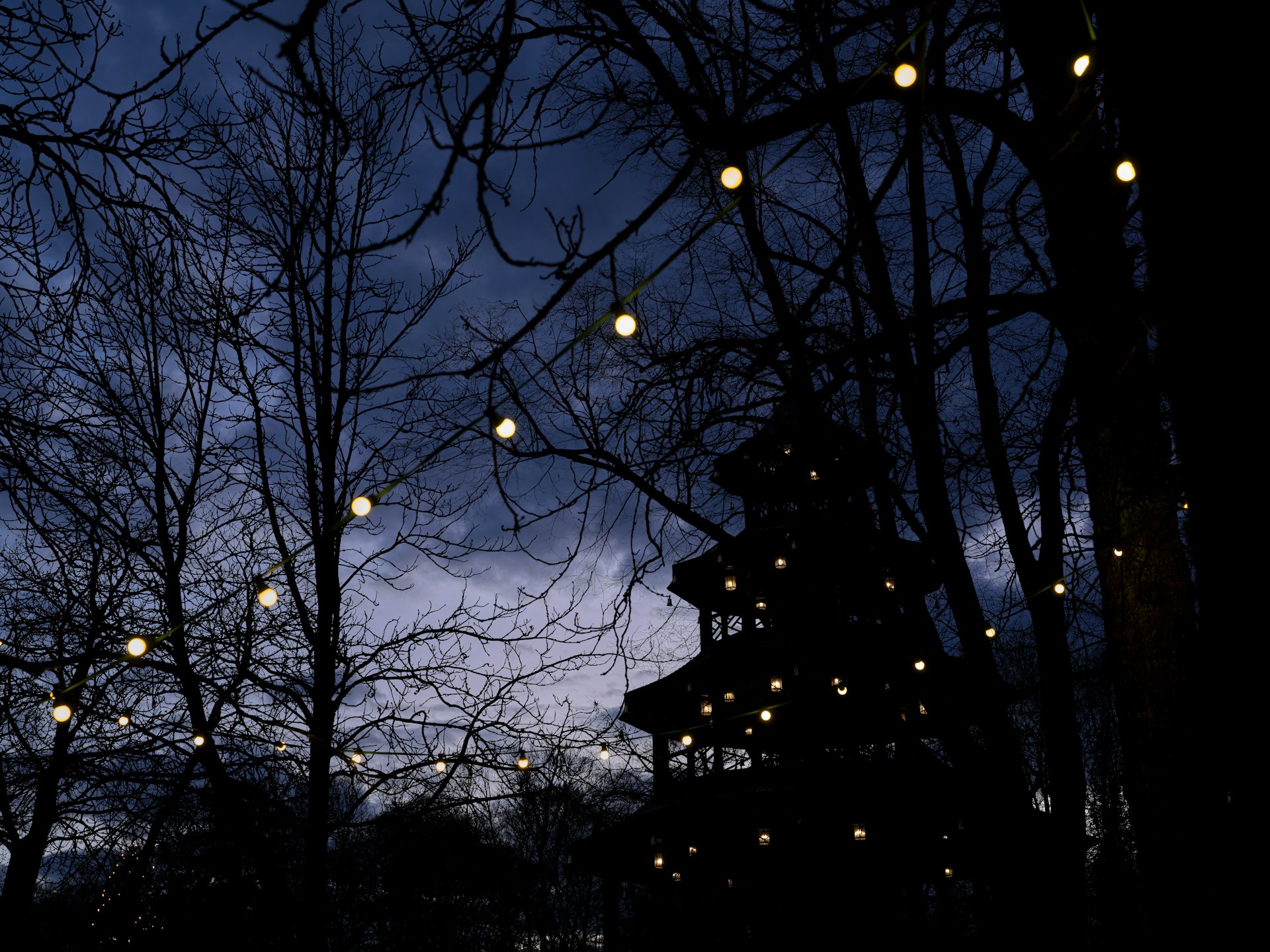 Bare trees with glowing lights at dusk