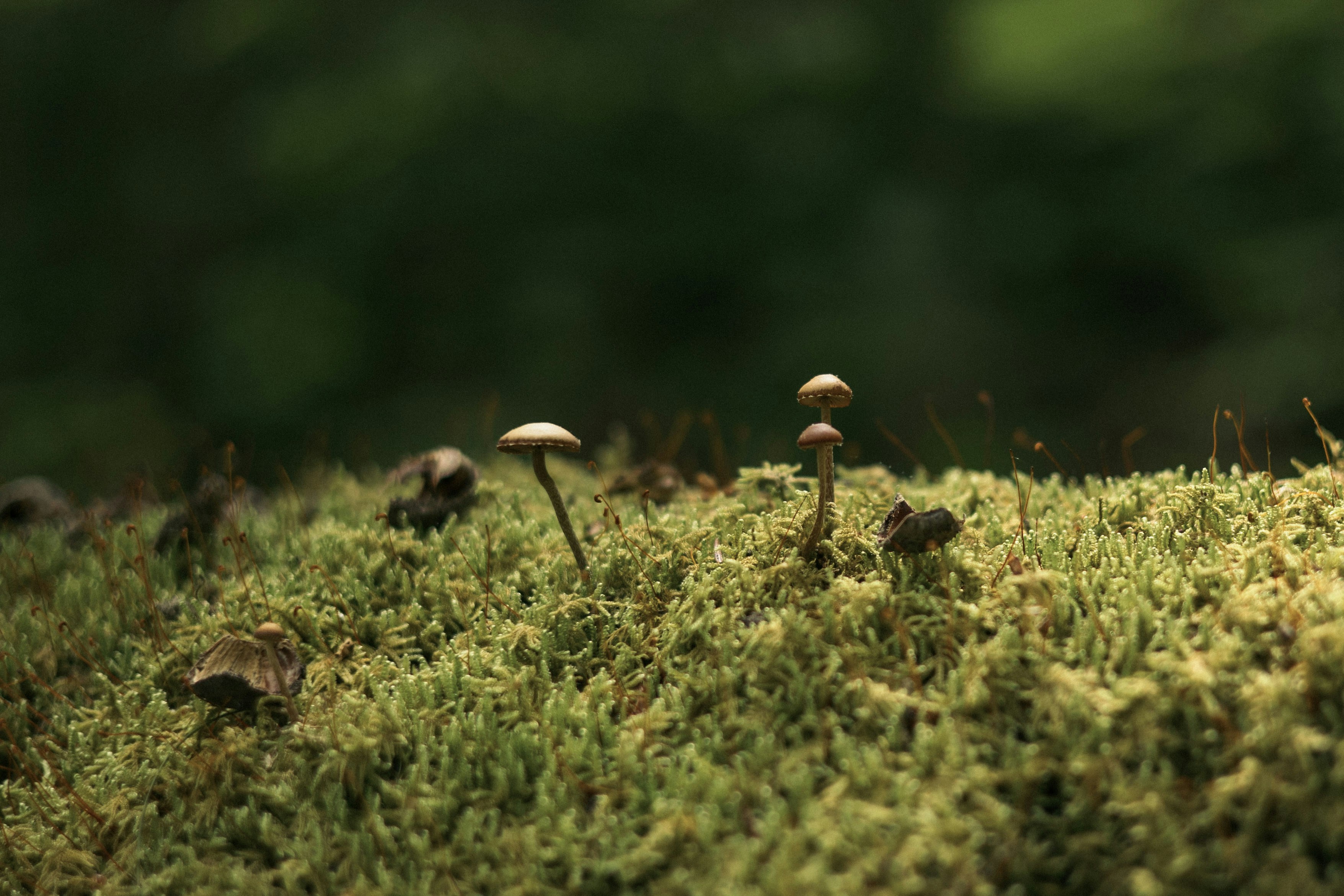 Photo by xavier_mclaren1