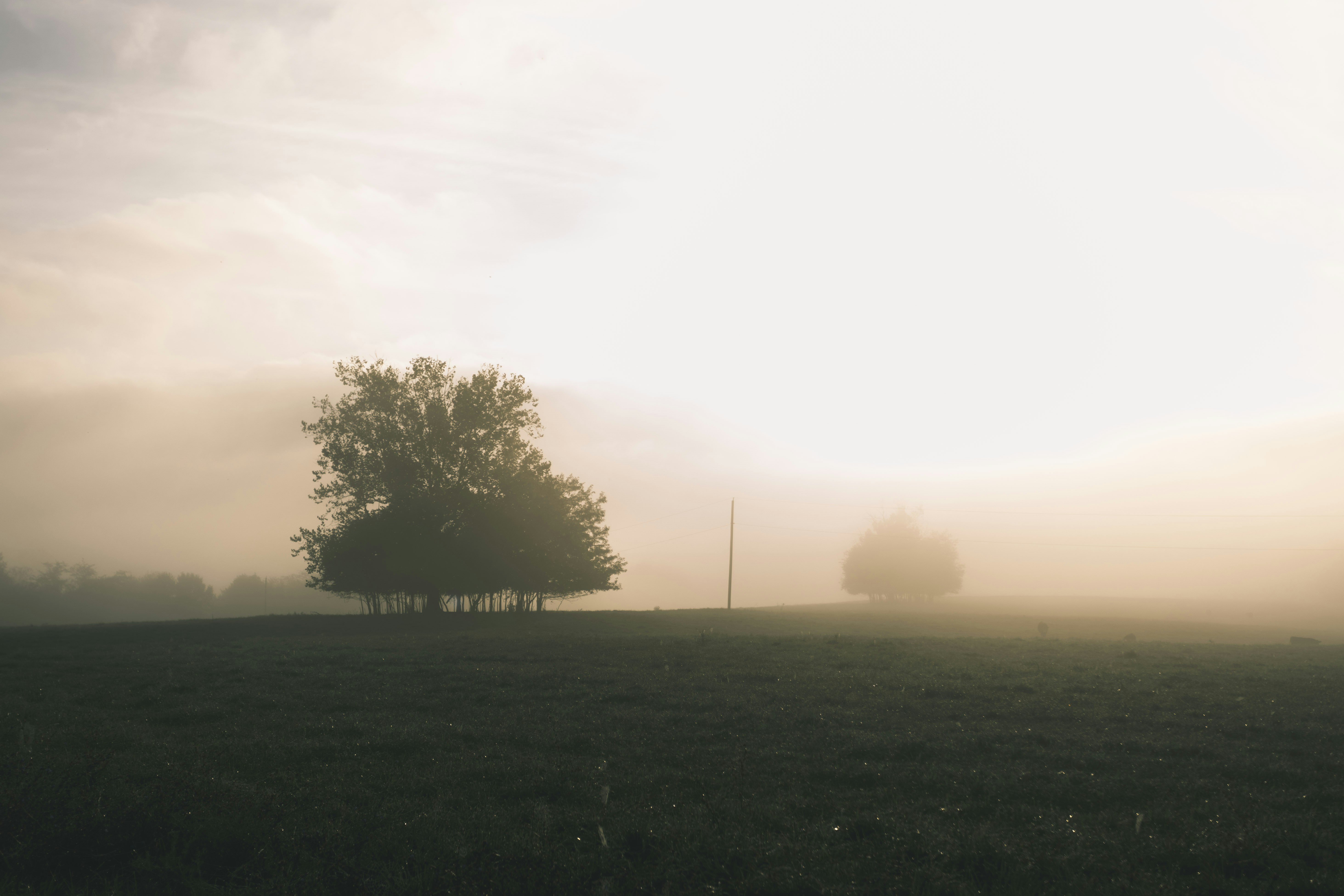 Photo by xavier_mclaren1