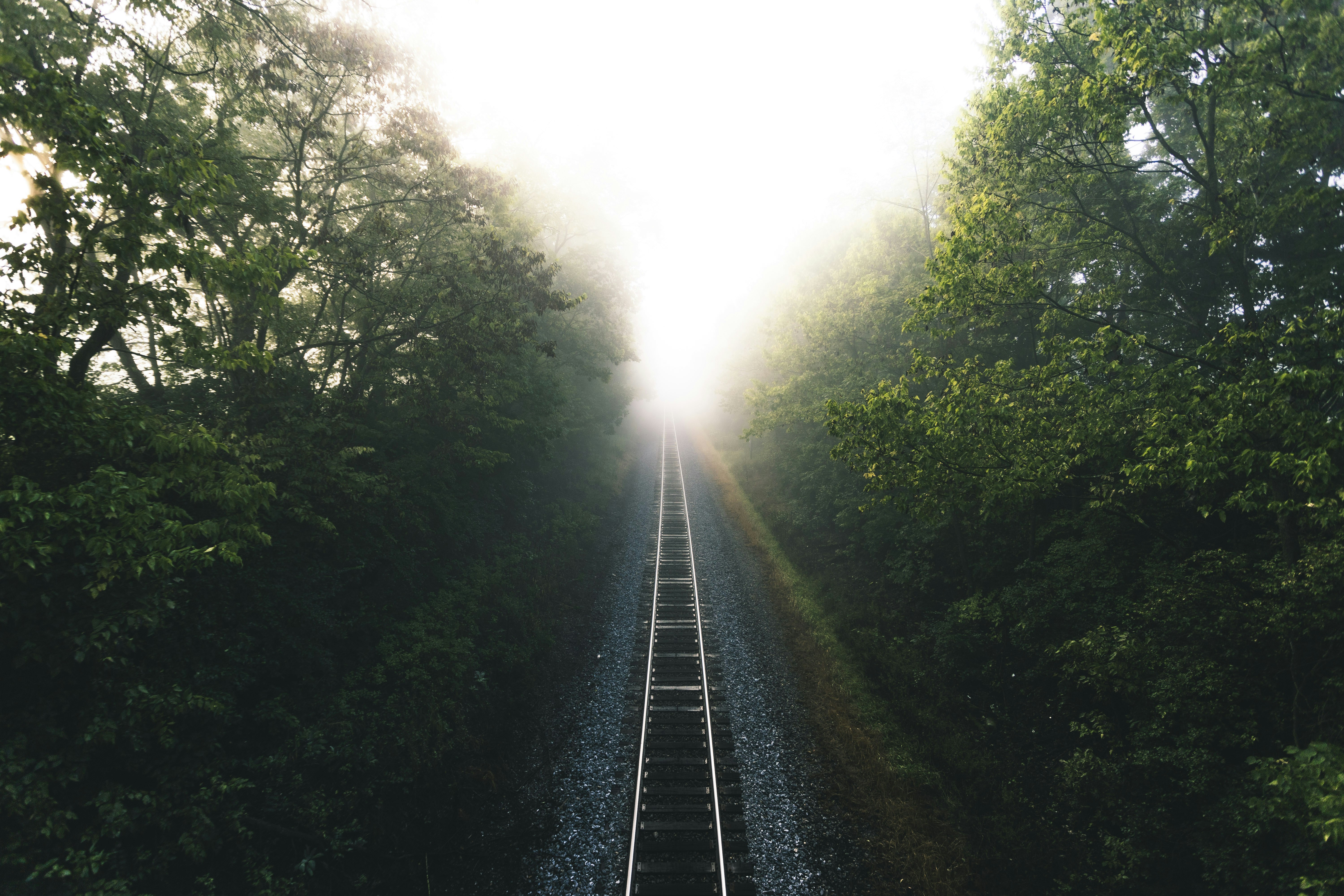 Photo by xavier_mclaren1