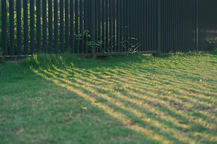 After — Neglected Lawn → Clean Cut