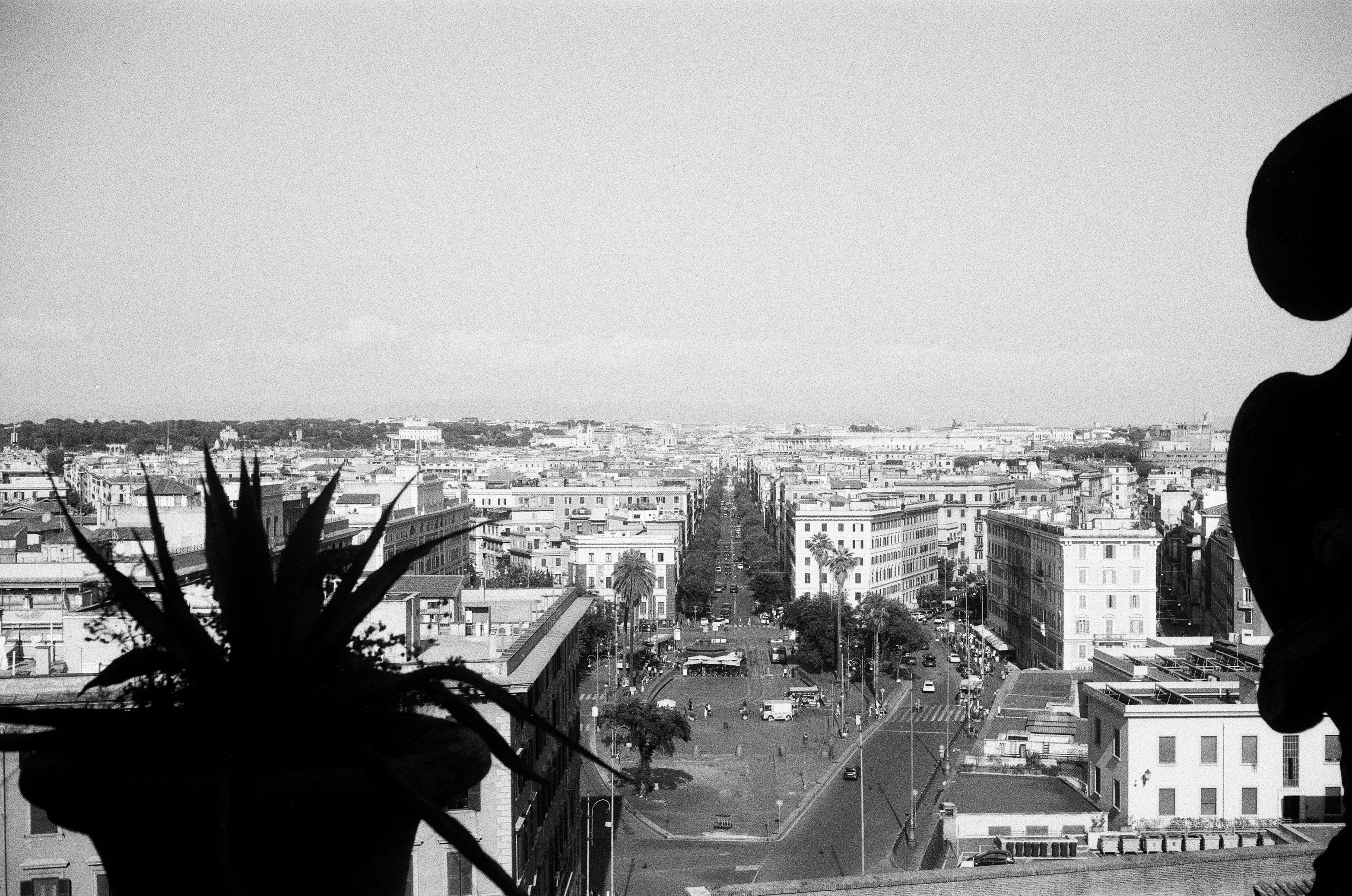 Panoramic view of a city skyline with trees.