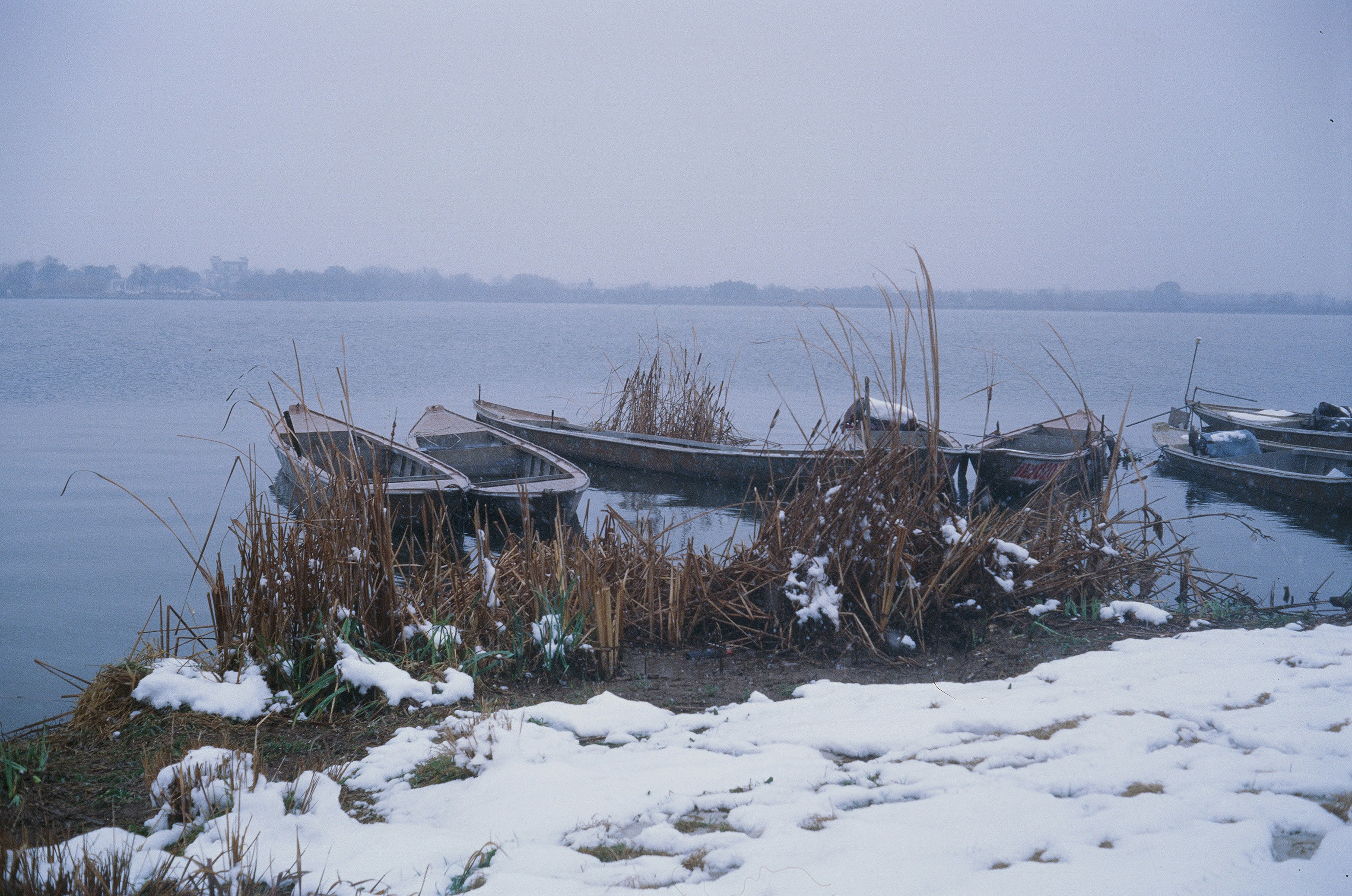 Several boats moored on a snowy riverbank during winter.