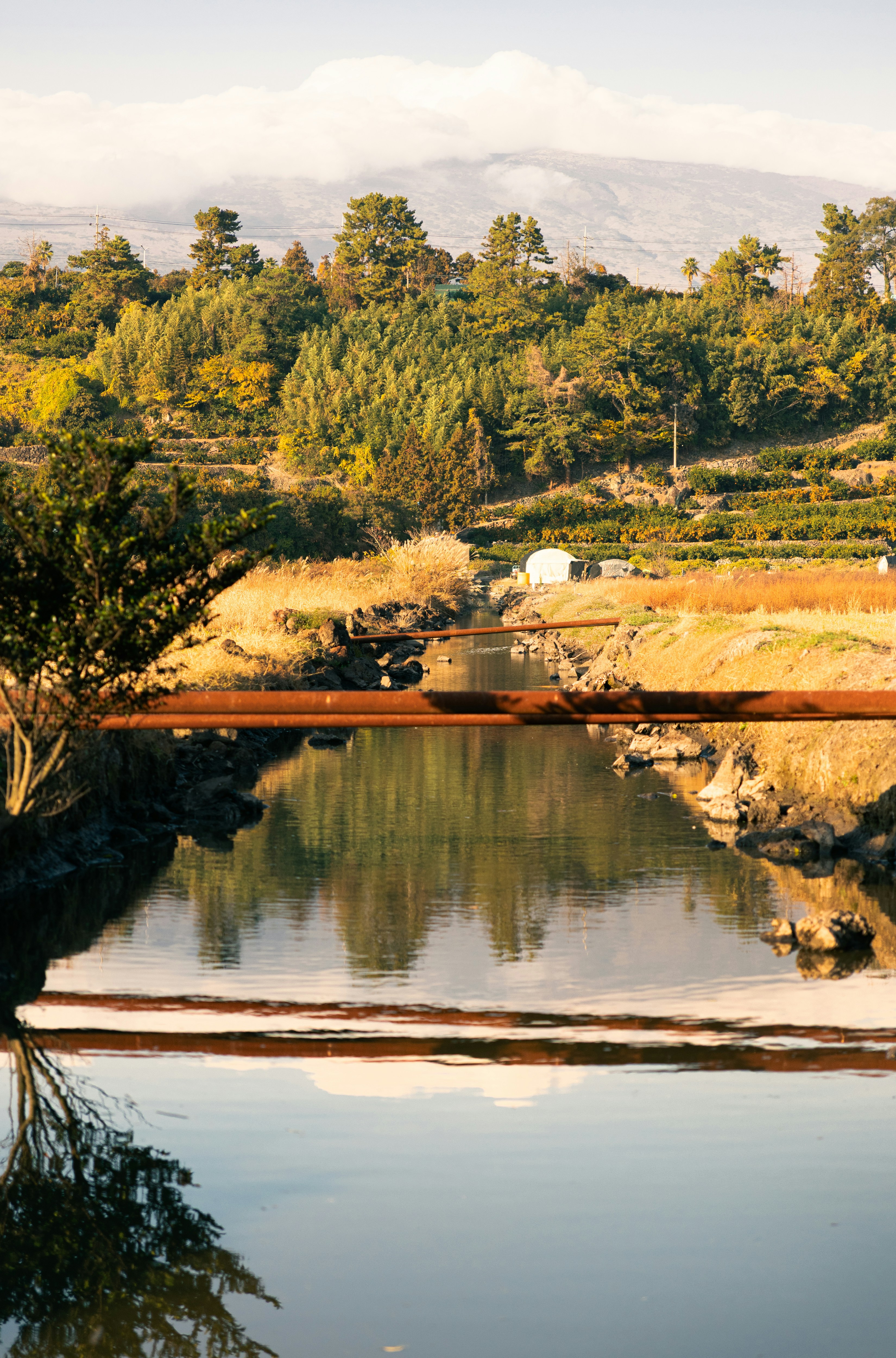 Water reflects trees and a distant mountain under sky.