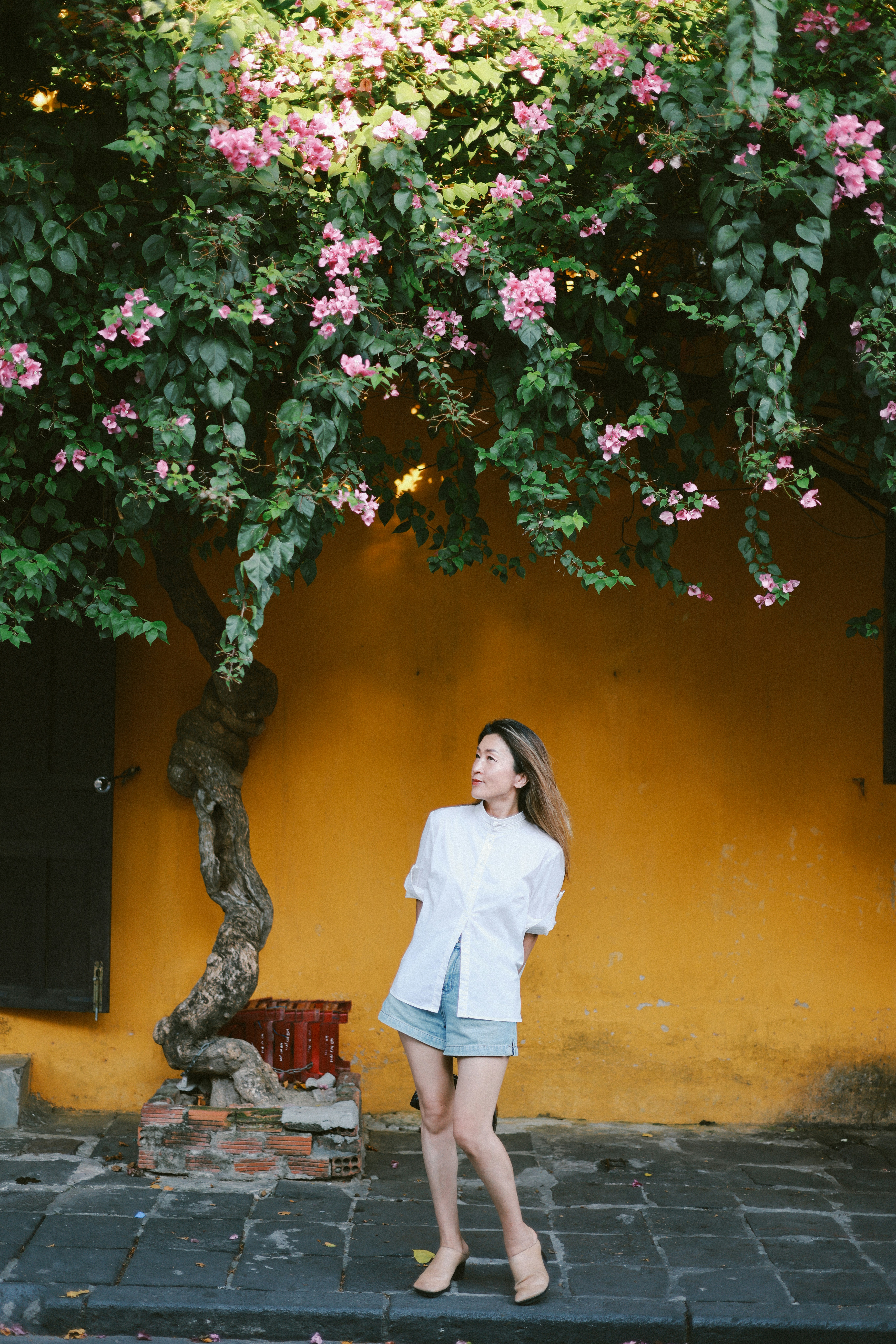 Photo by hoianphotographer