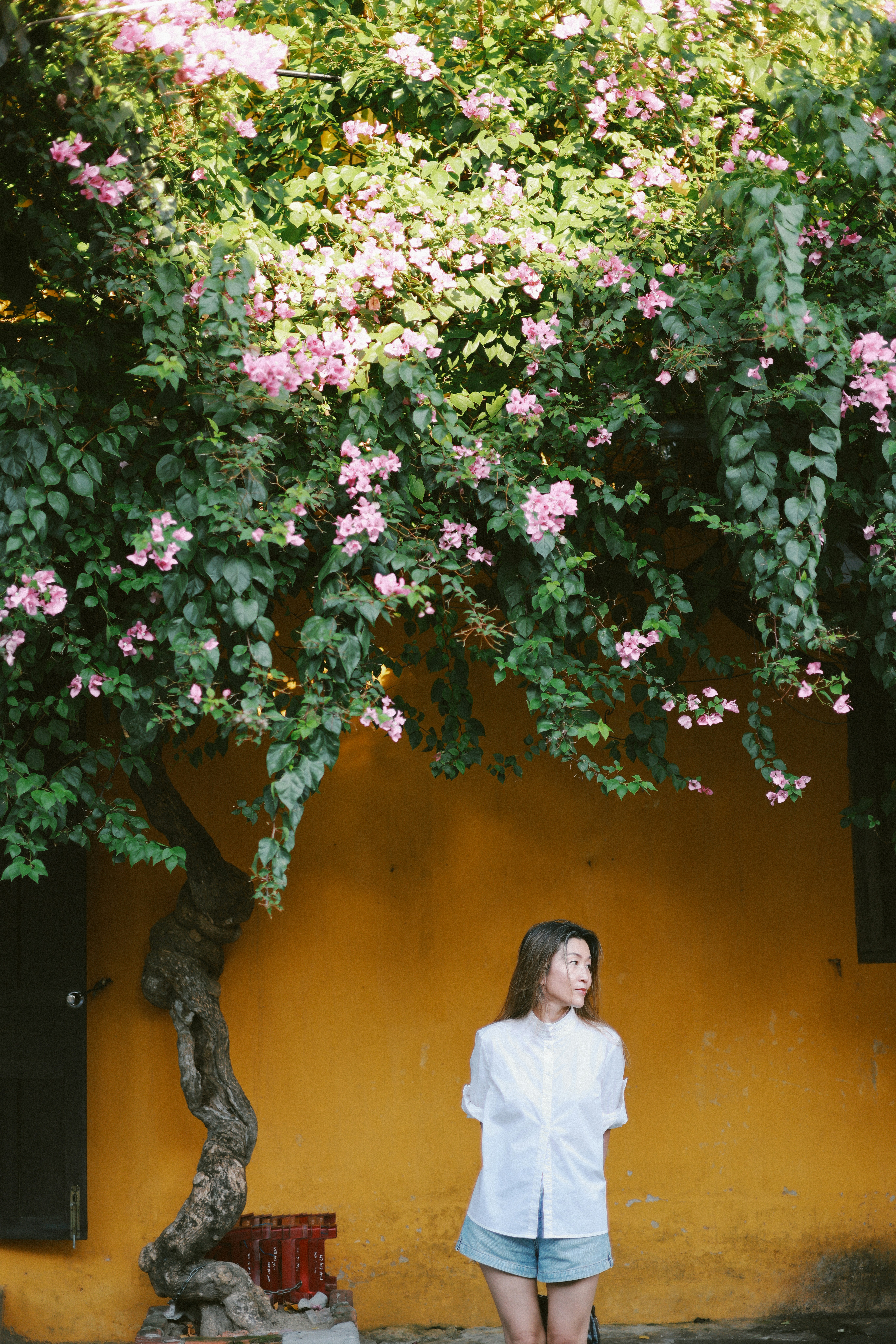 Photo by hoianphotographer