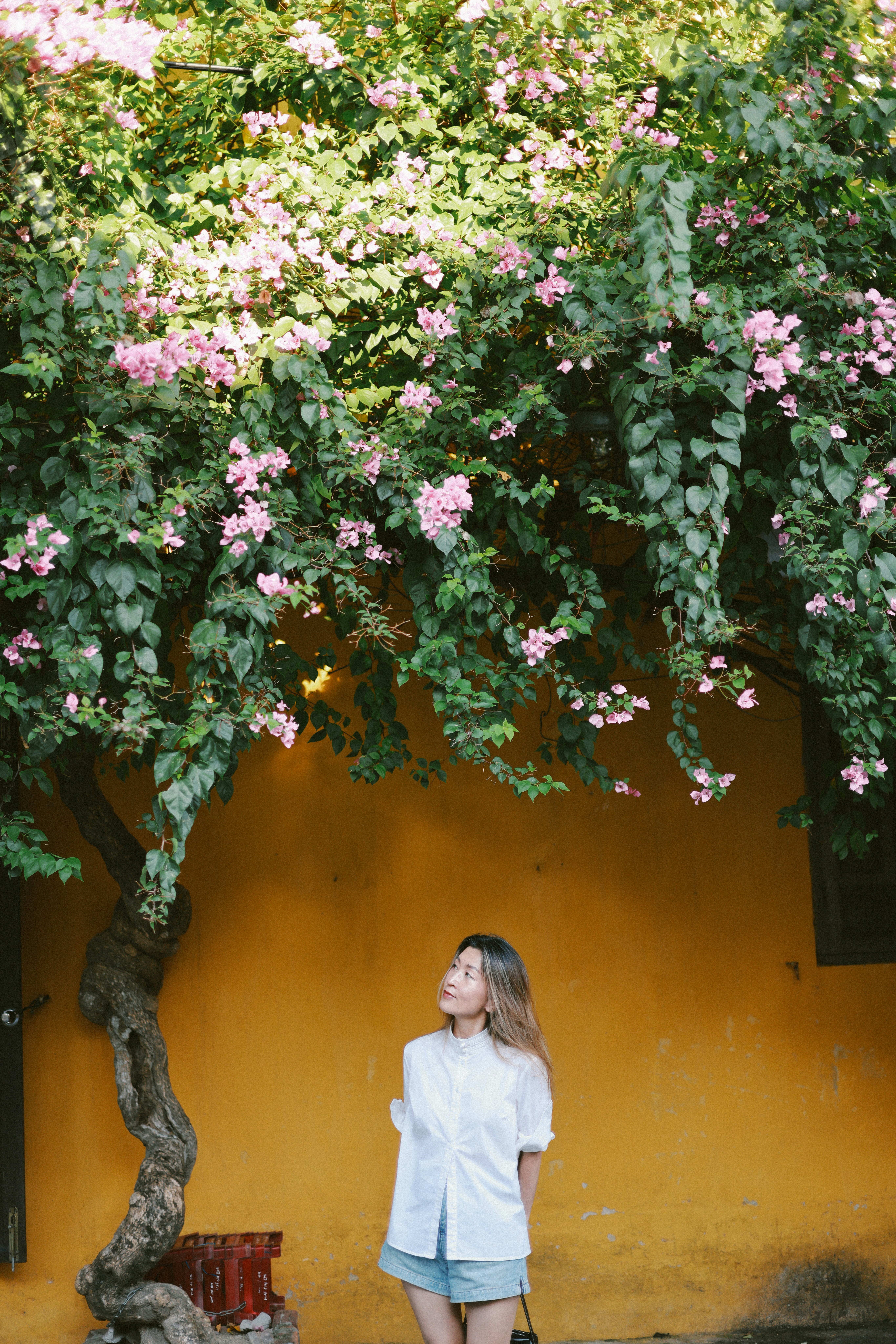 Photo by hoianphotographer