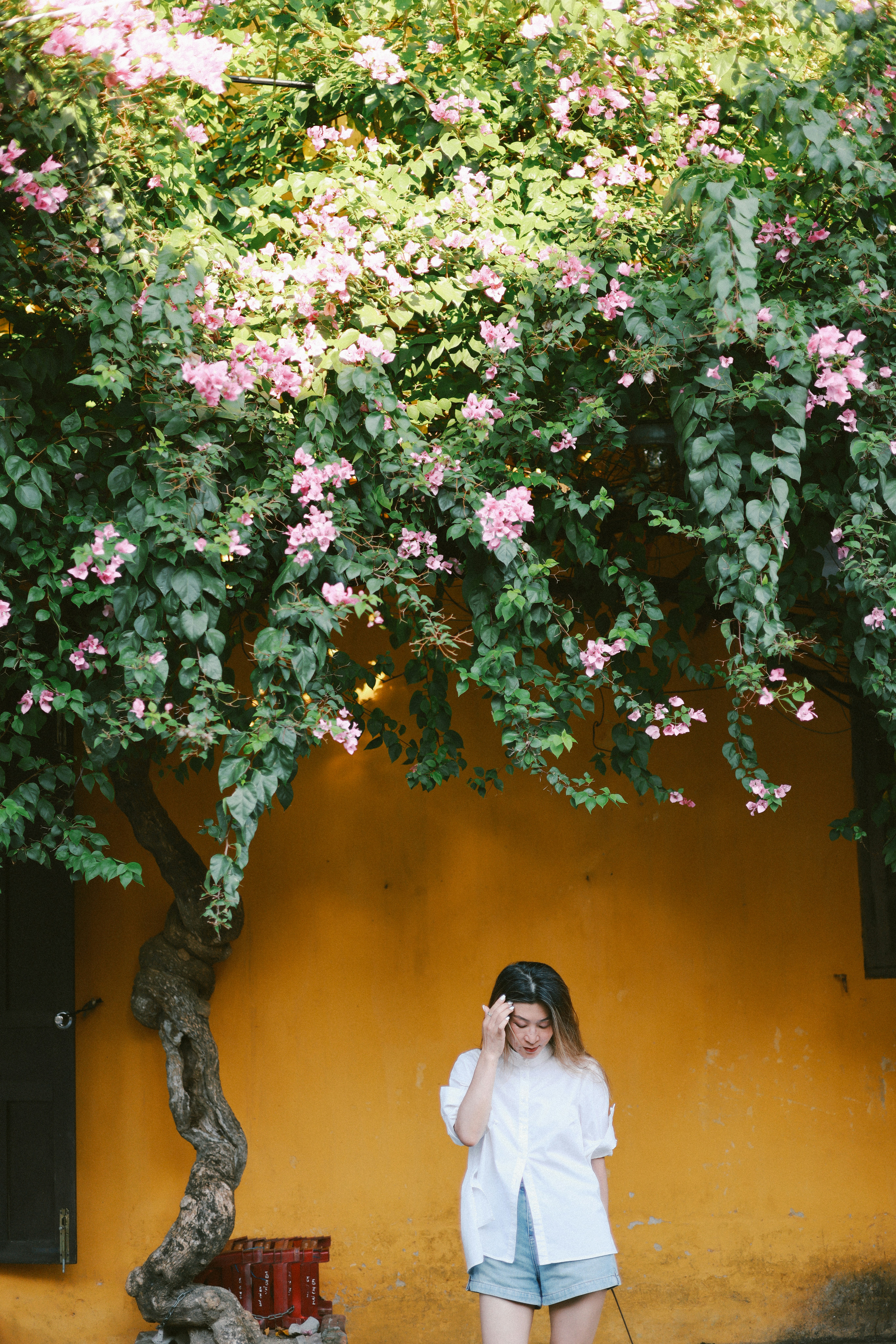 Photo by hoianphotographer