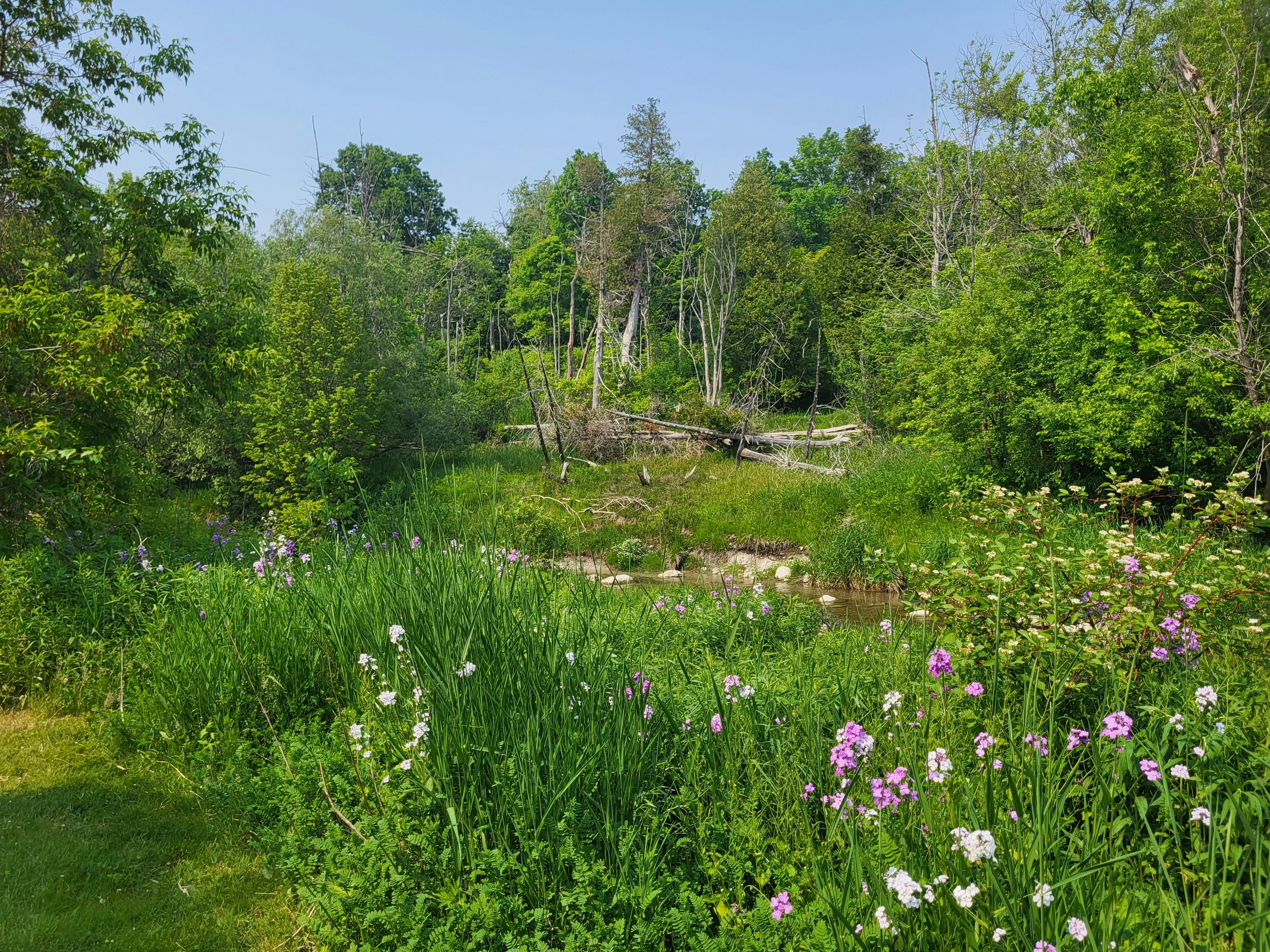 William B. Derby Nature Preserve