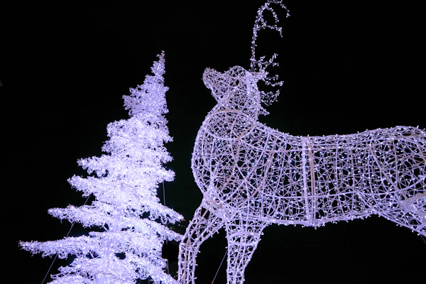 Renne Rudolf animé décoration Noël magasin