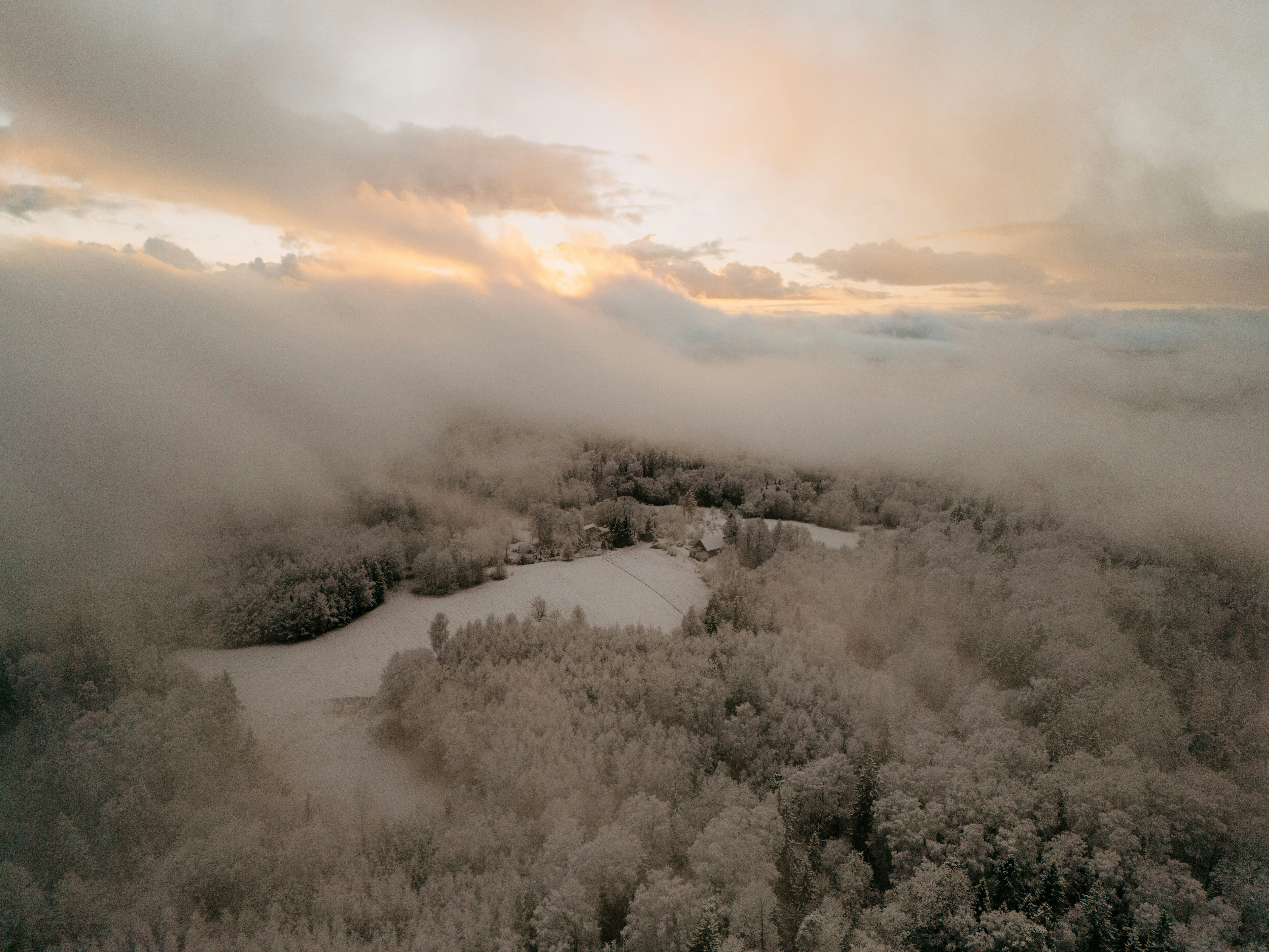 Photo by vilkuaivars