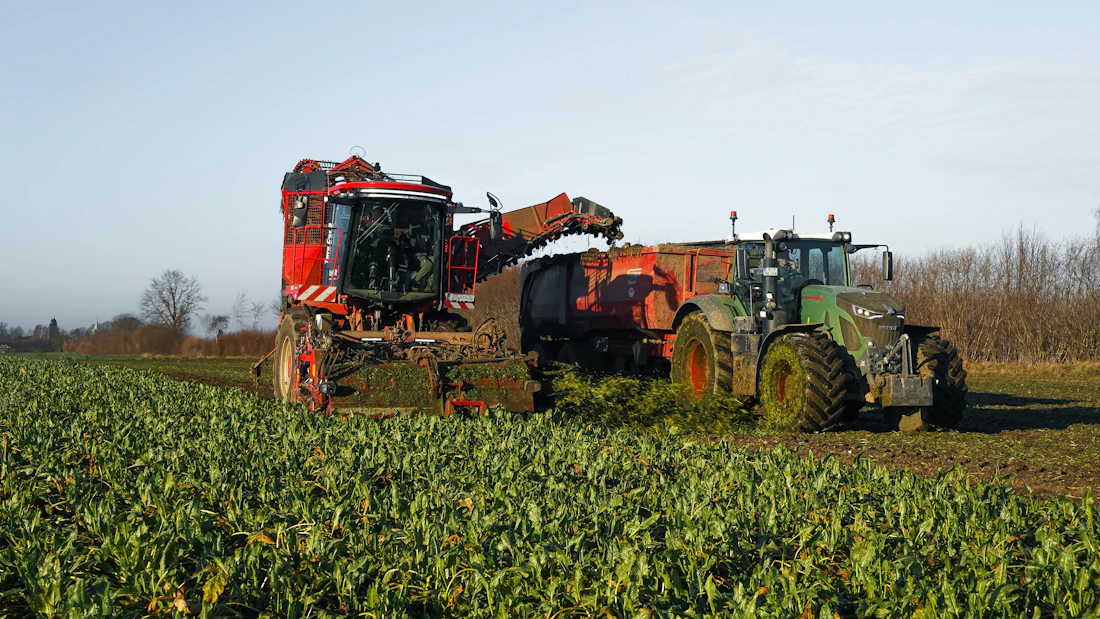 Máquinas agrícolas a trabalhar na colheita