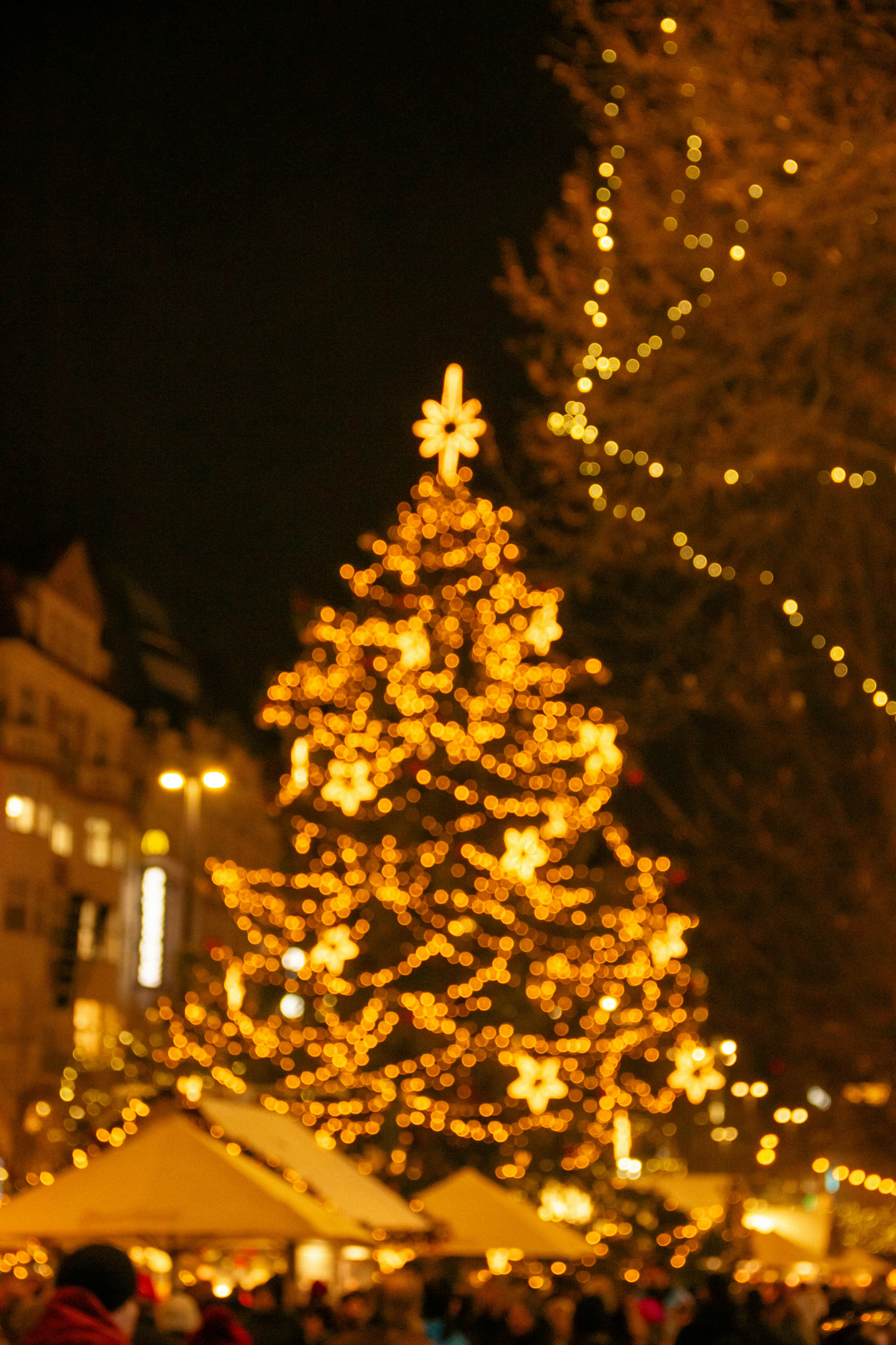 Photo by daniyarorazov