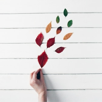 Hand holding falling autumn leaves on white wood