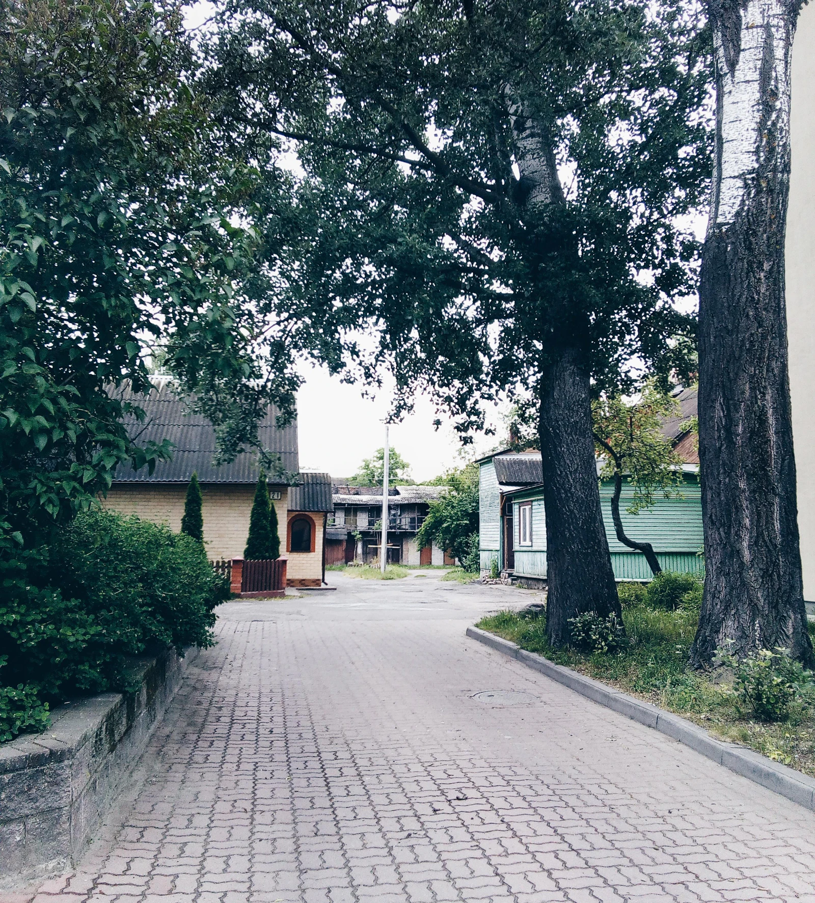 A paved drive running past mature trees on a tidy property