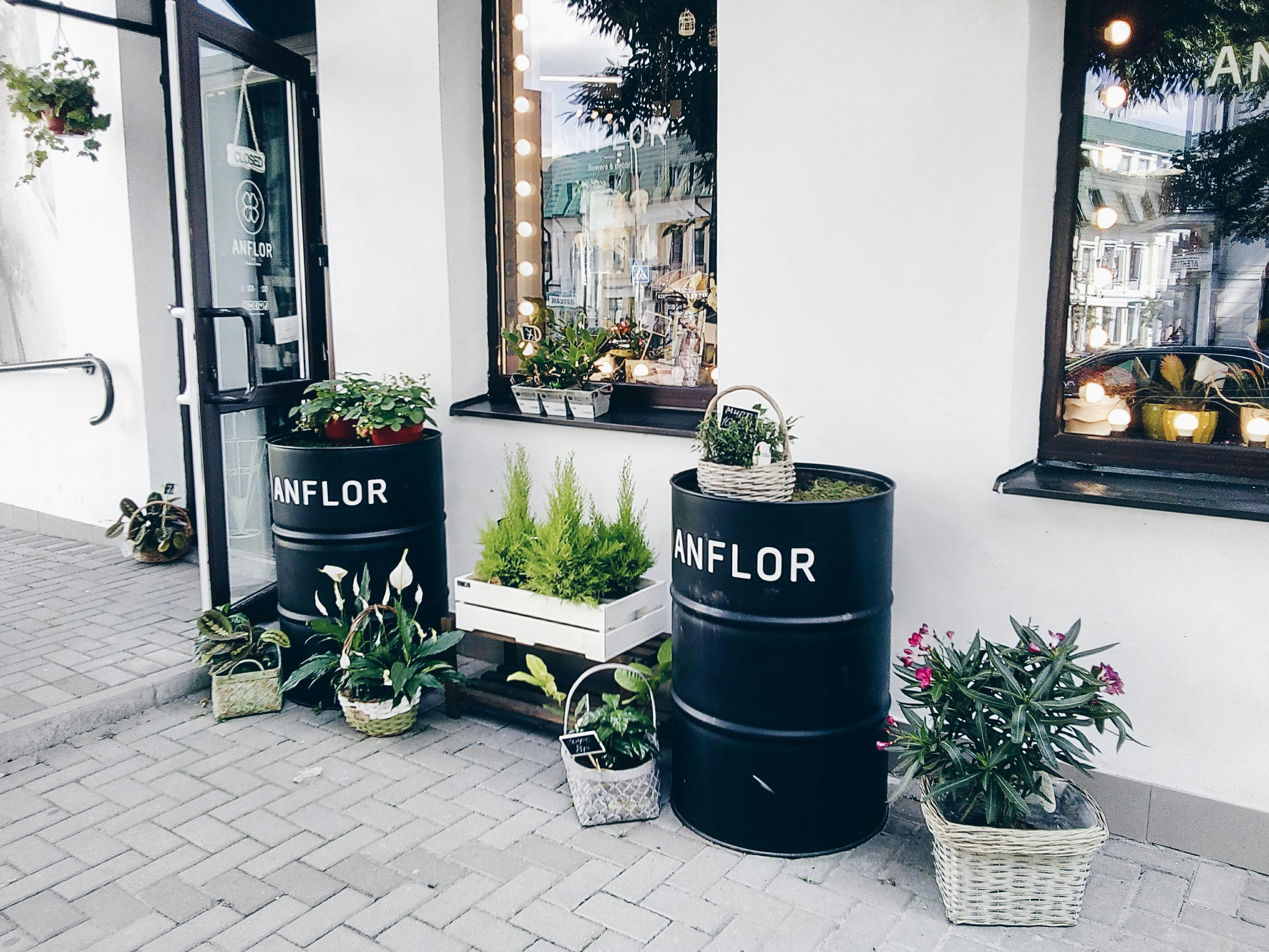 Retail storefront with vibrant seasonal plantings - Commercial Landscaping Chelsea MA