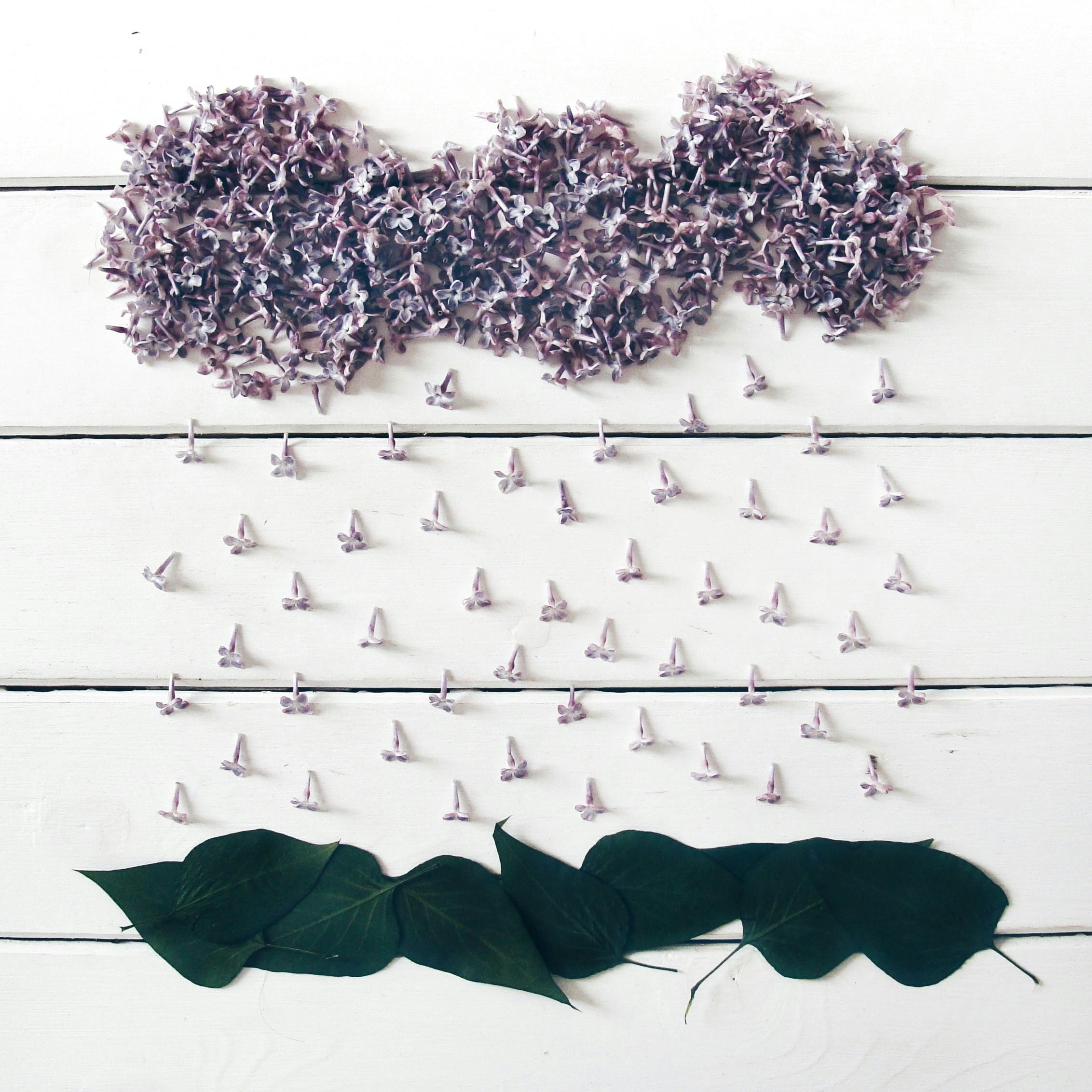 Paper sailboats falling from a cloud onto leaves