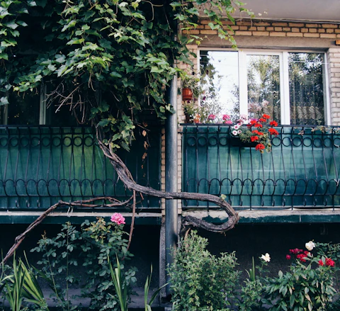 Green vines and flowers growing on an apartment balcony