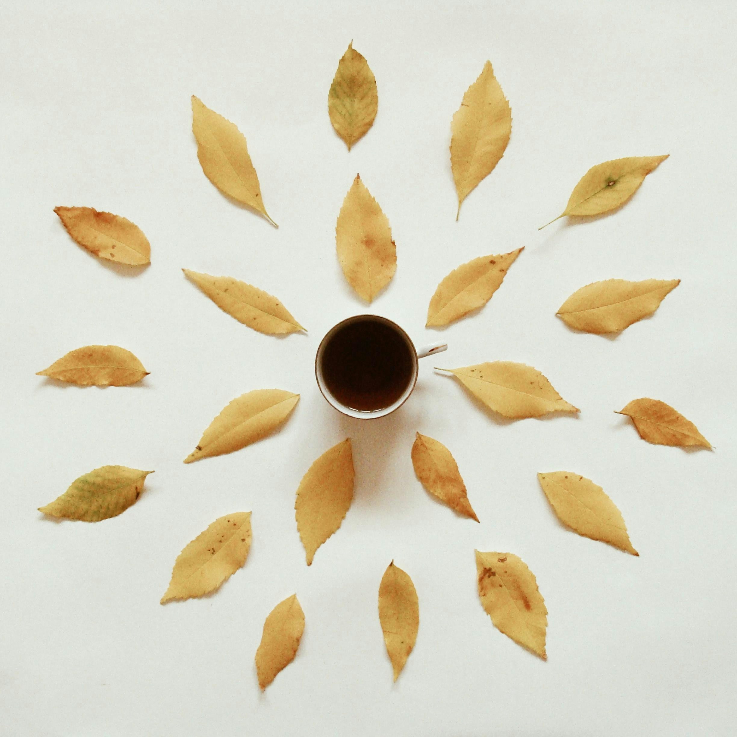 Cup of coffee surrounded by autumn leaves