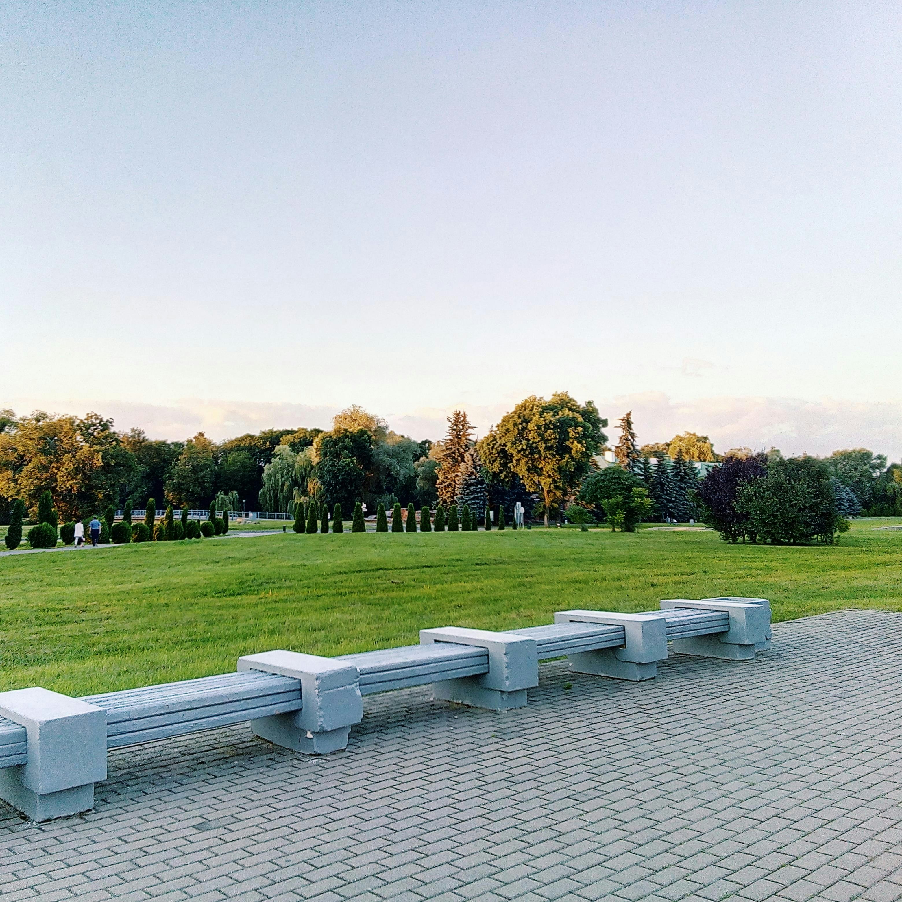 Park bench on a paved walkway with trees and grass.