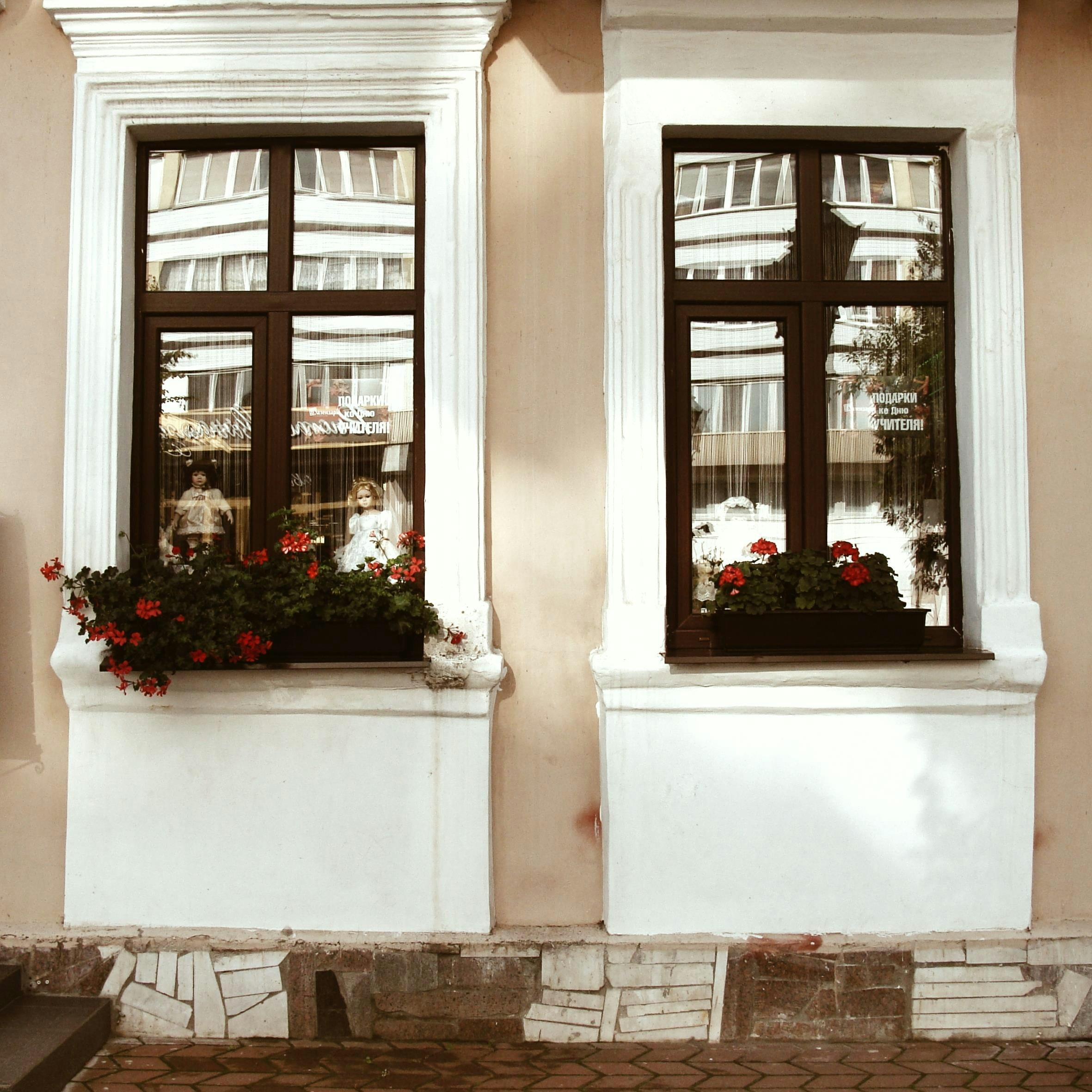 Two windows with flower boxes on a building.