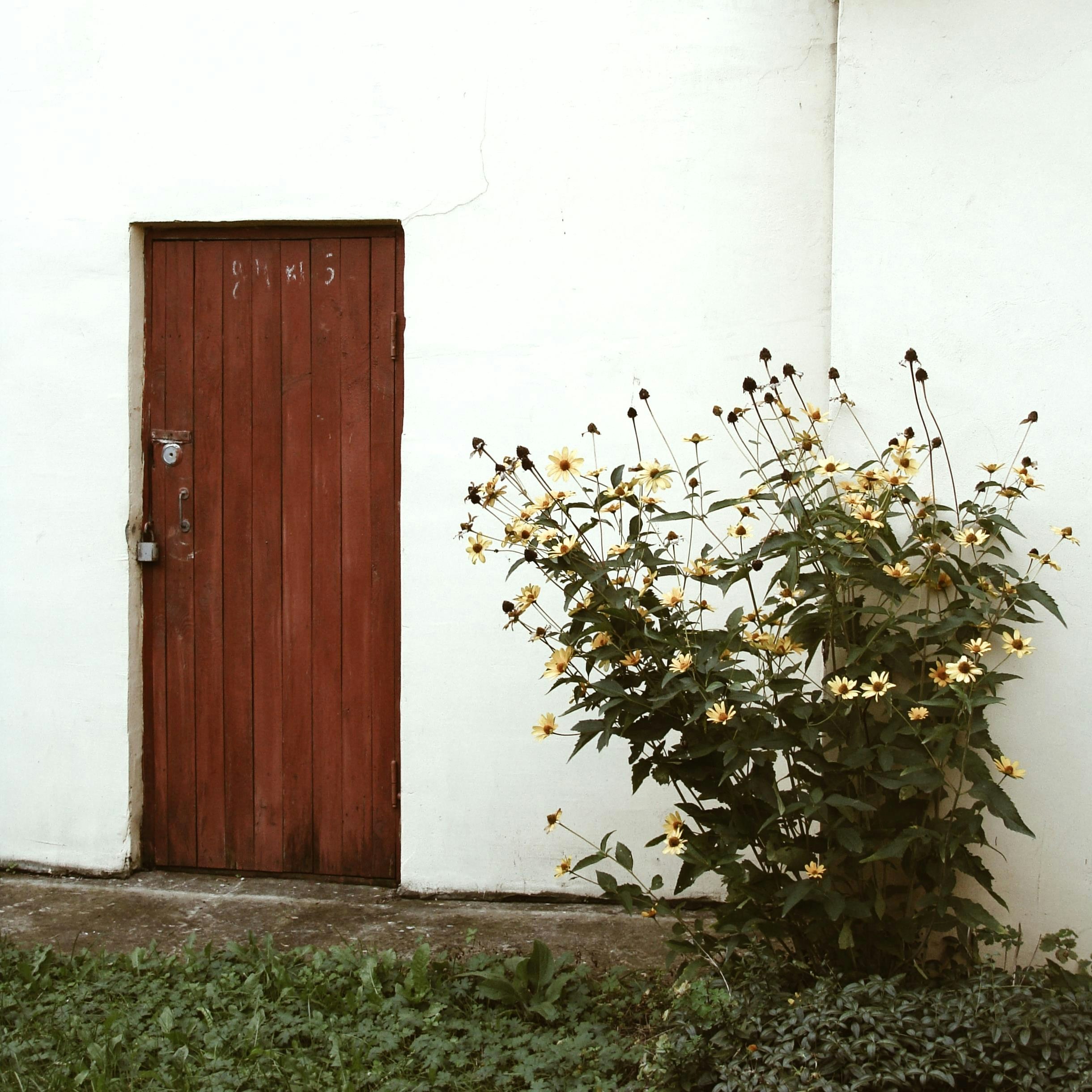 minimalist entryway wallpaper, wallpaper, Entryway with TV Stand: Design Ideas & Considerations 2