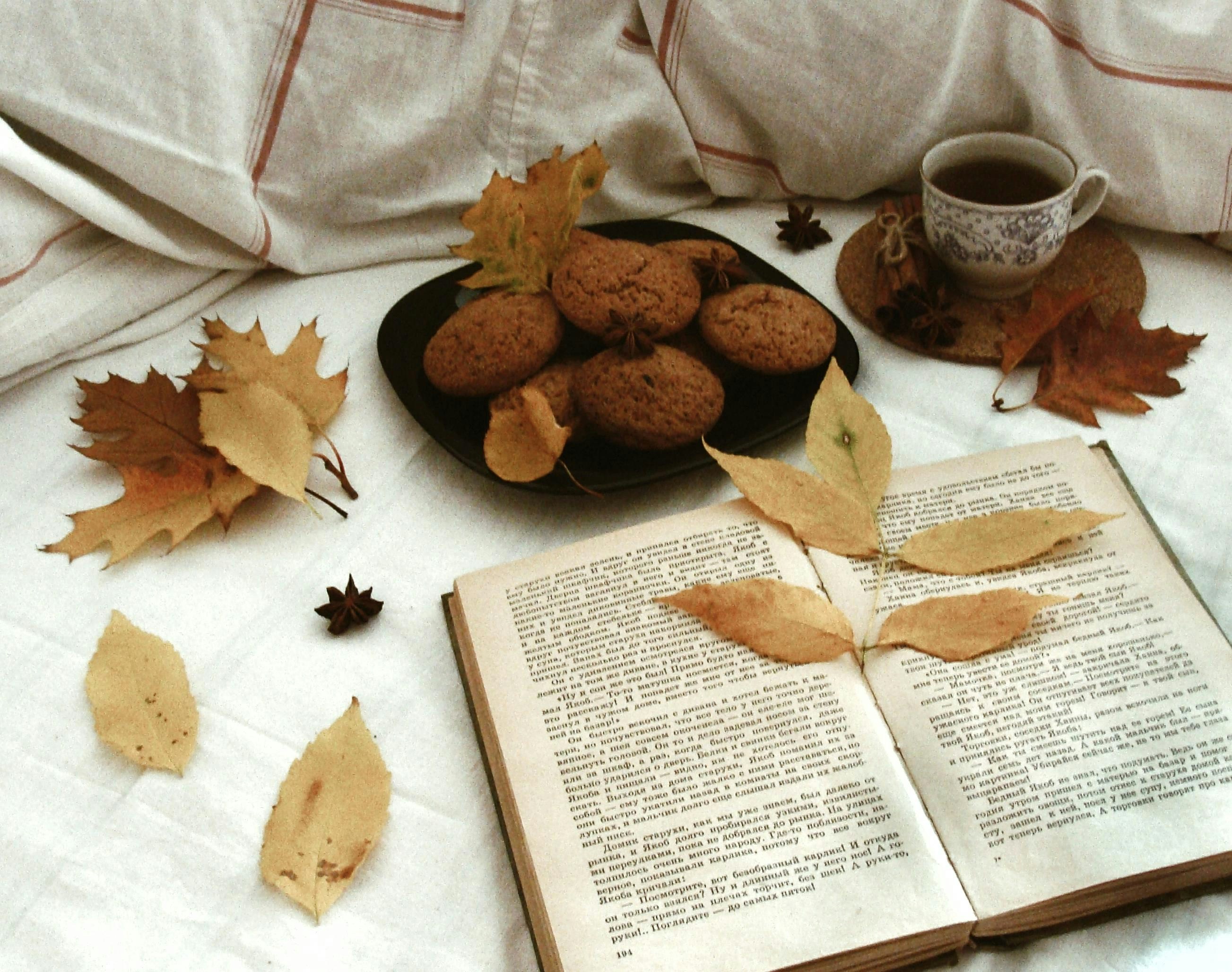 Autumn scene with book, muffins, and tea