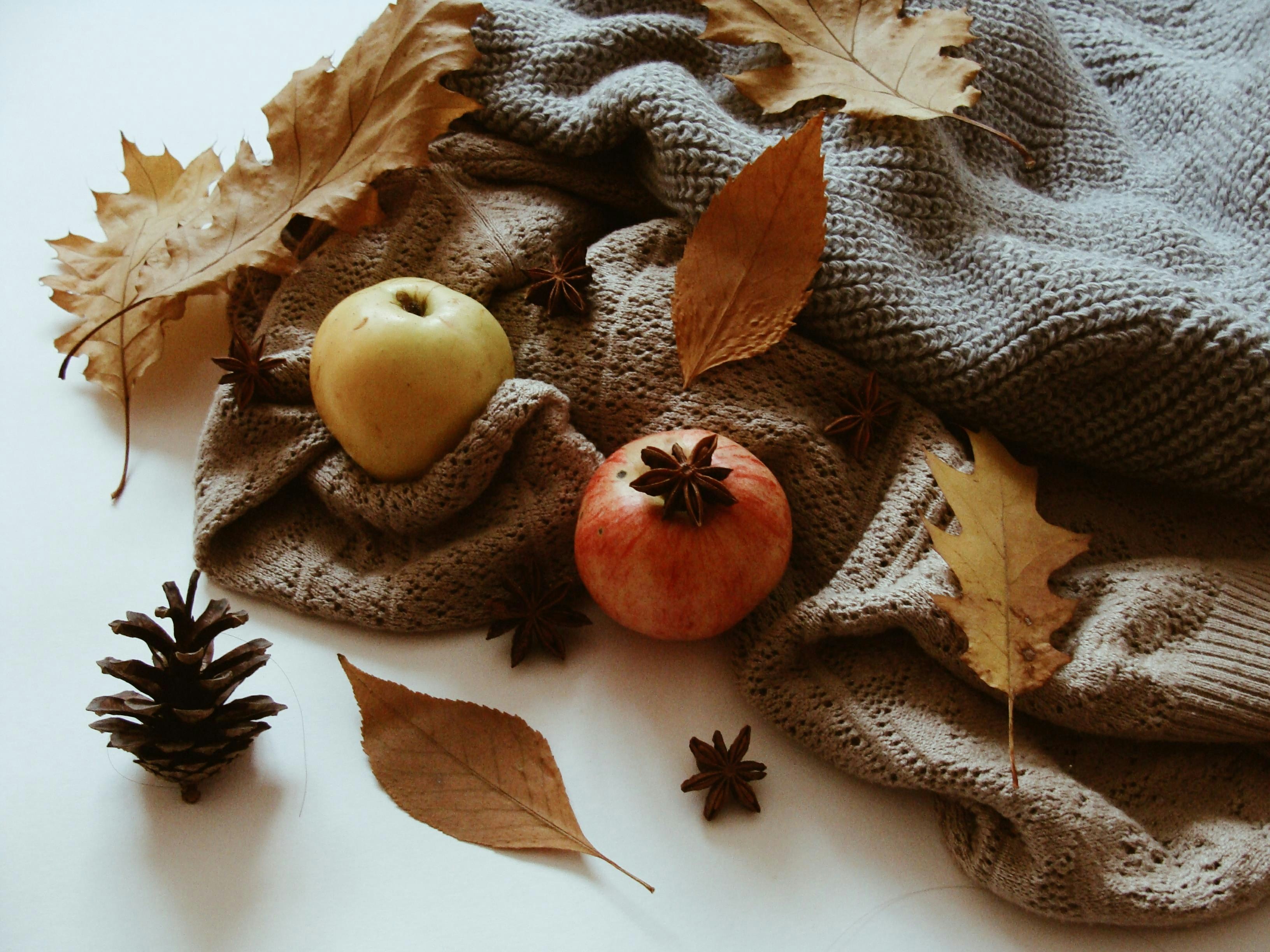 autumn harvest decor, wallpaper, Thanksgiving Crafts for Adults: Festive DIY Ideas 3