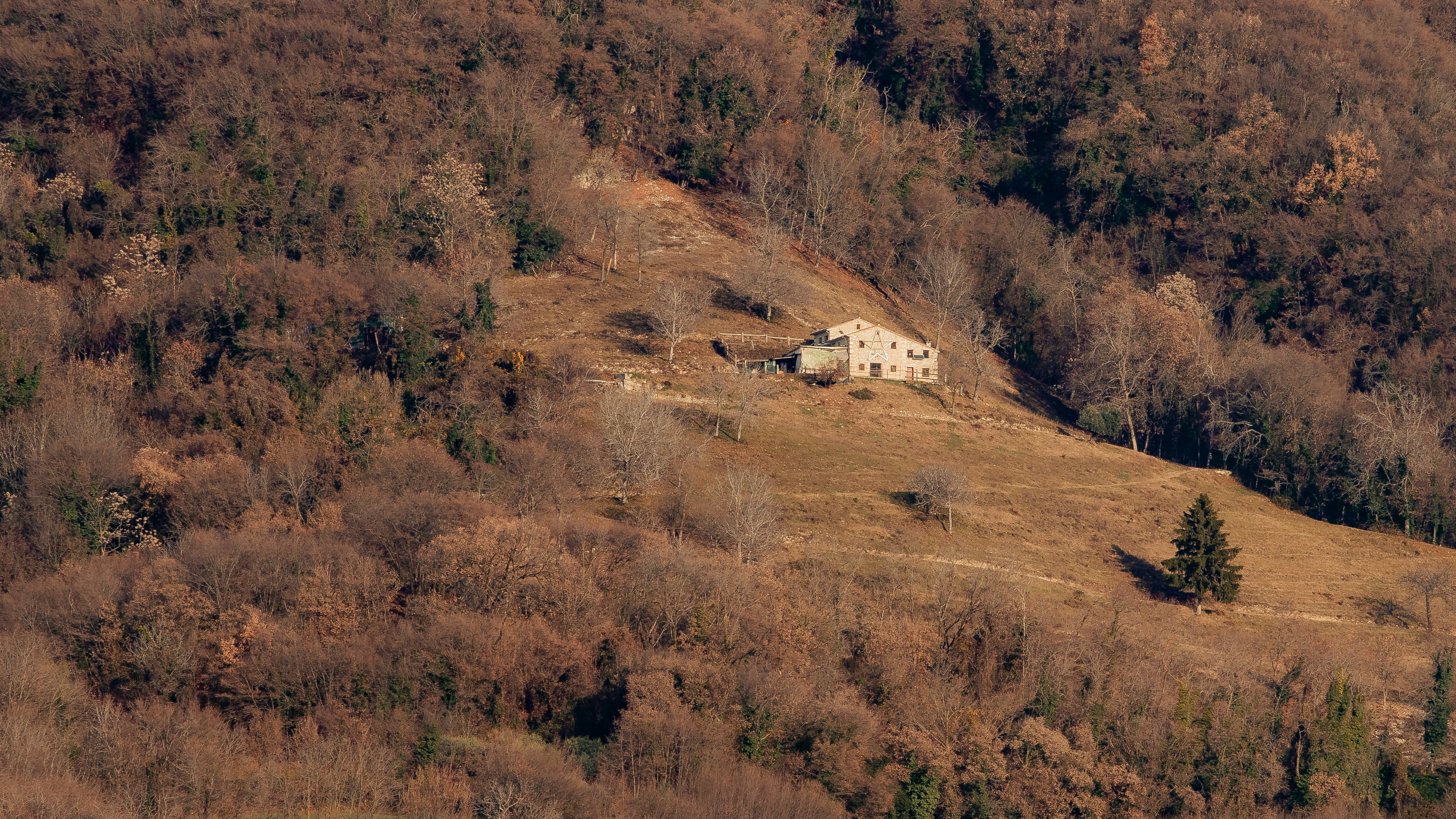 The Hills Chop House