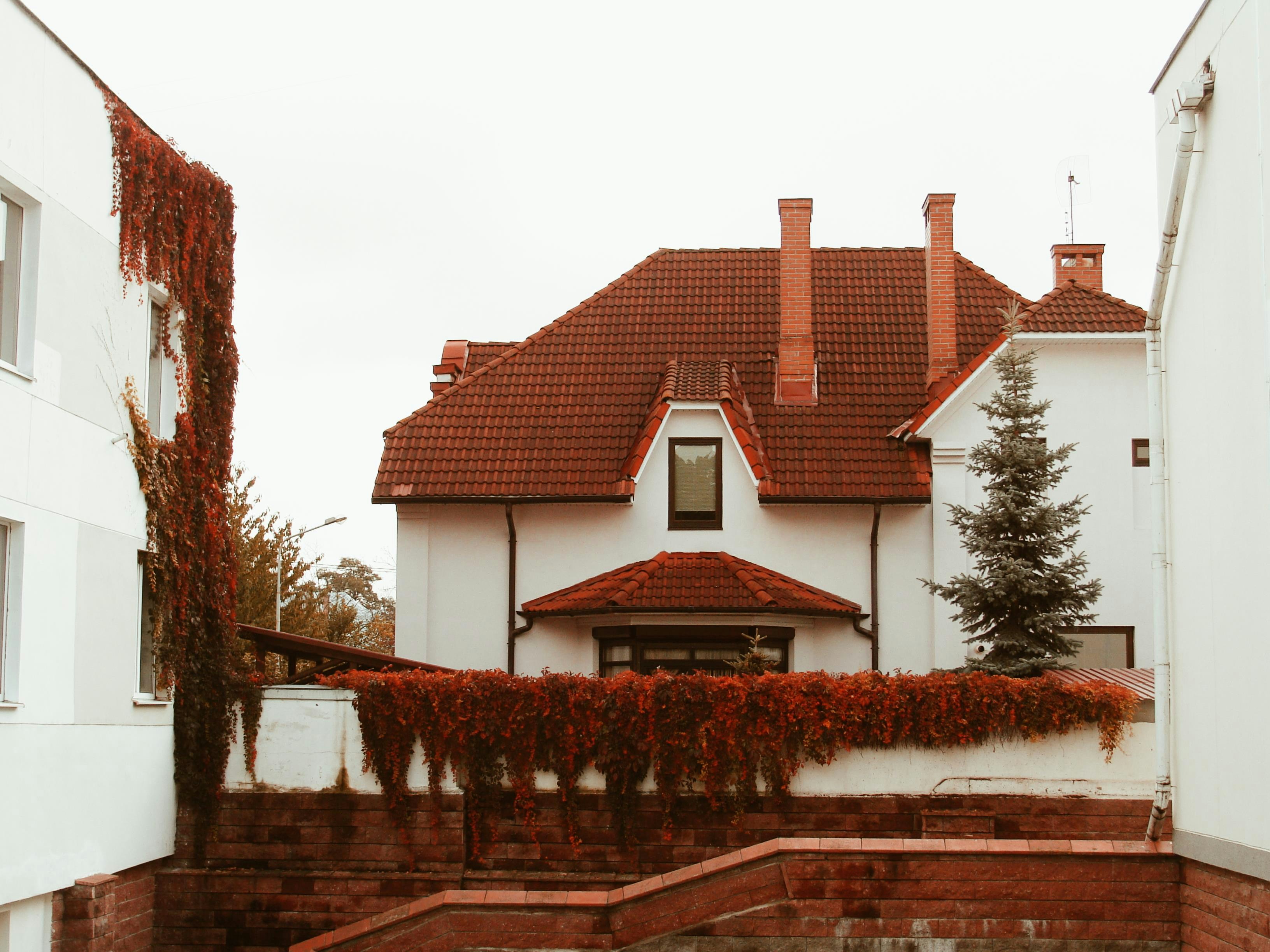 Weißes Haus mit rotem Dach und Efeu