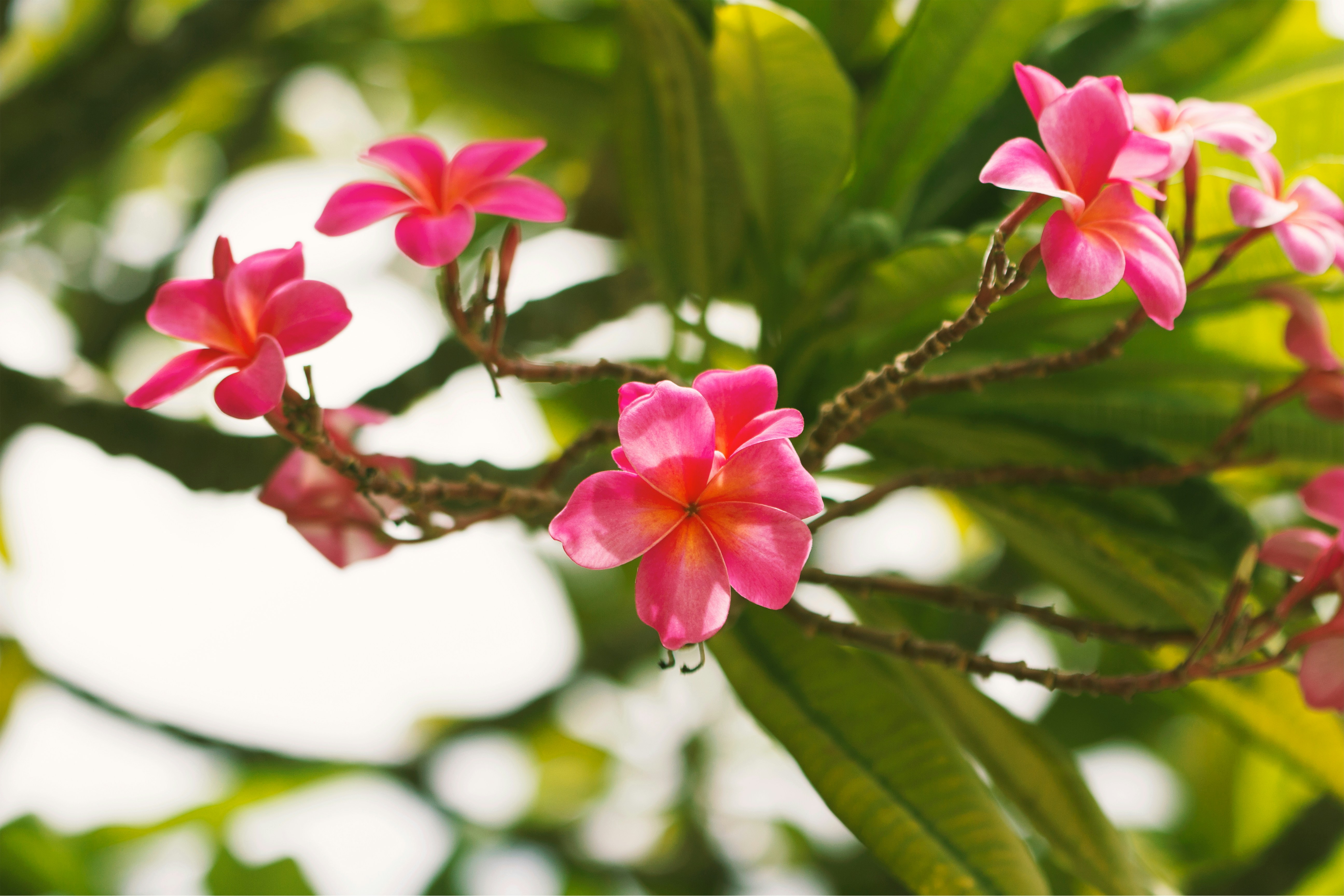 Photo by beyondxphotography