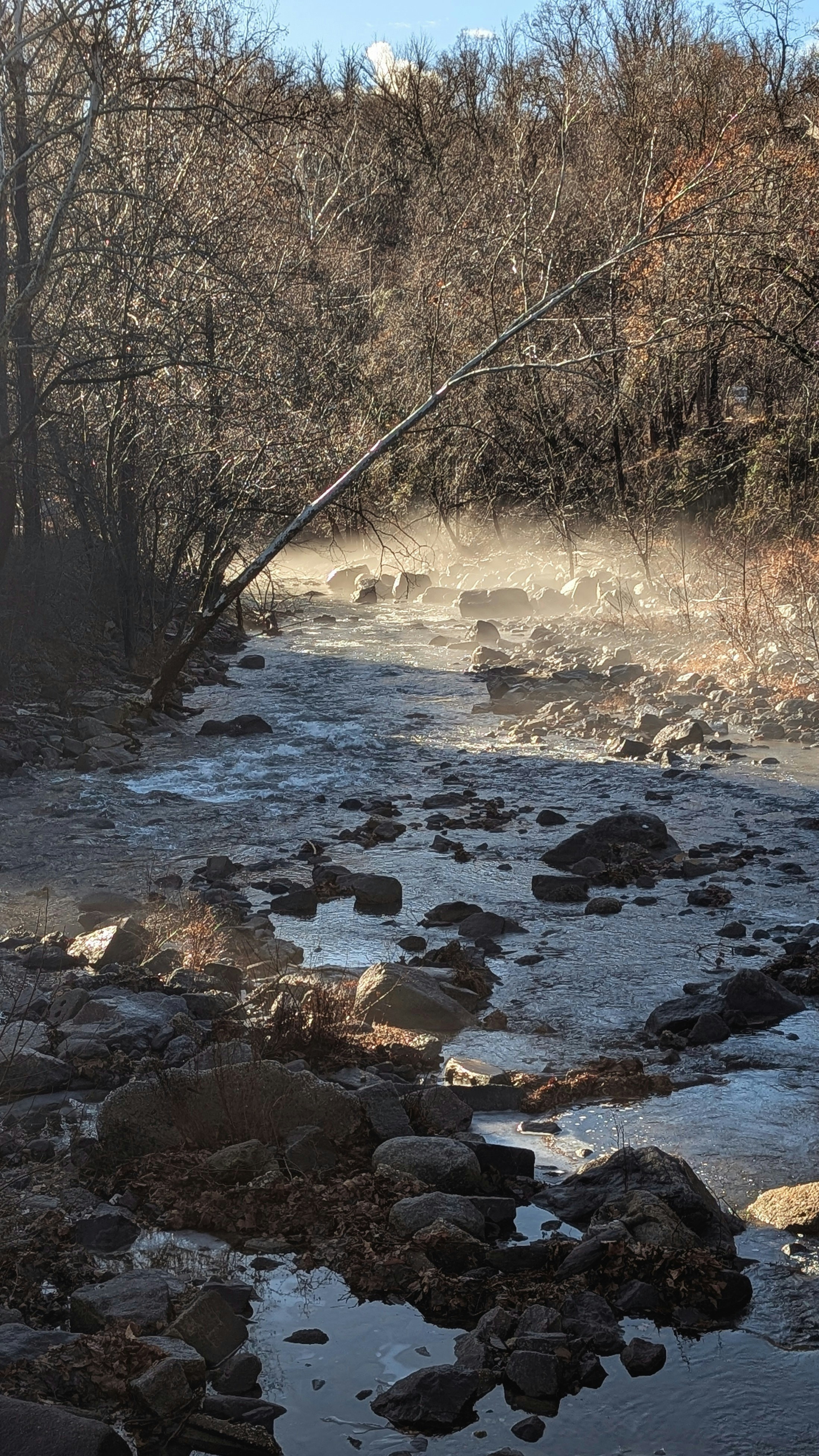 A shallow river flows through a rocky, wooded area.