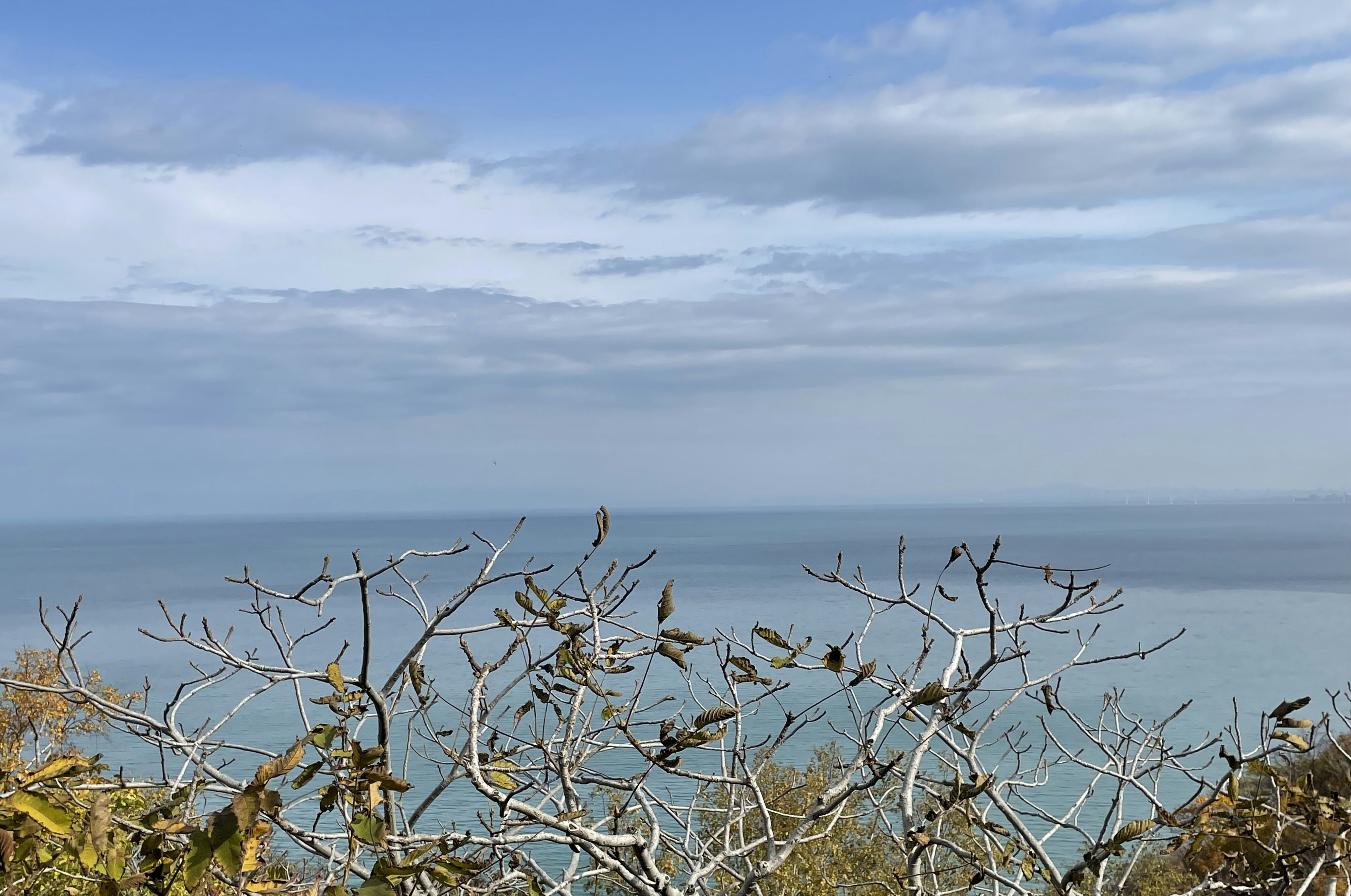 Photo by lafesta6720