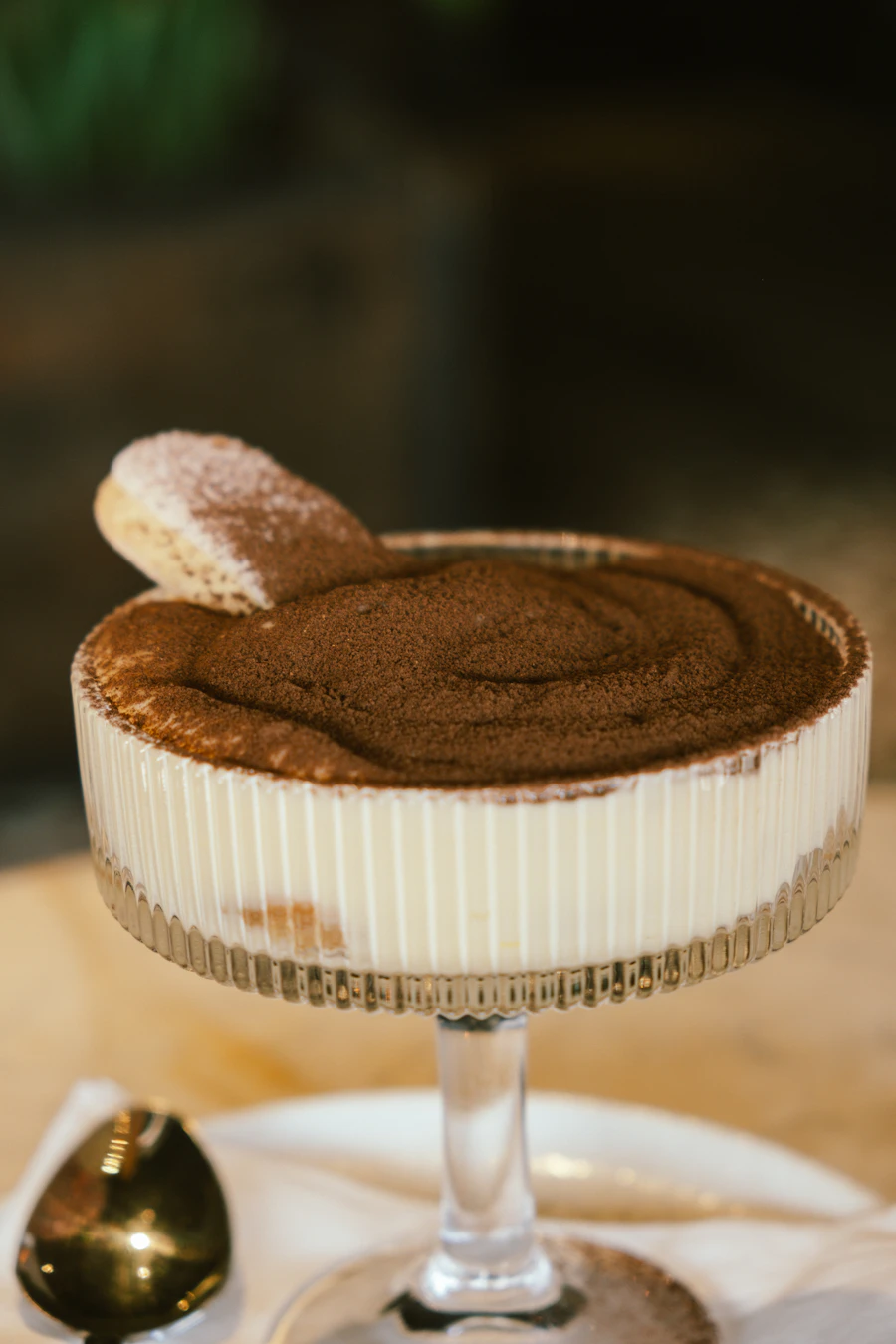 Tiramisu dessert