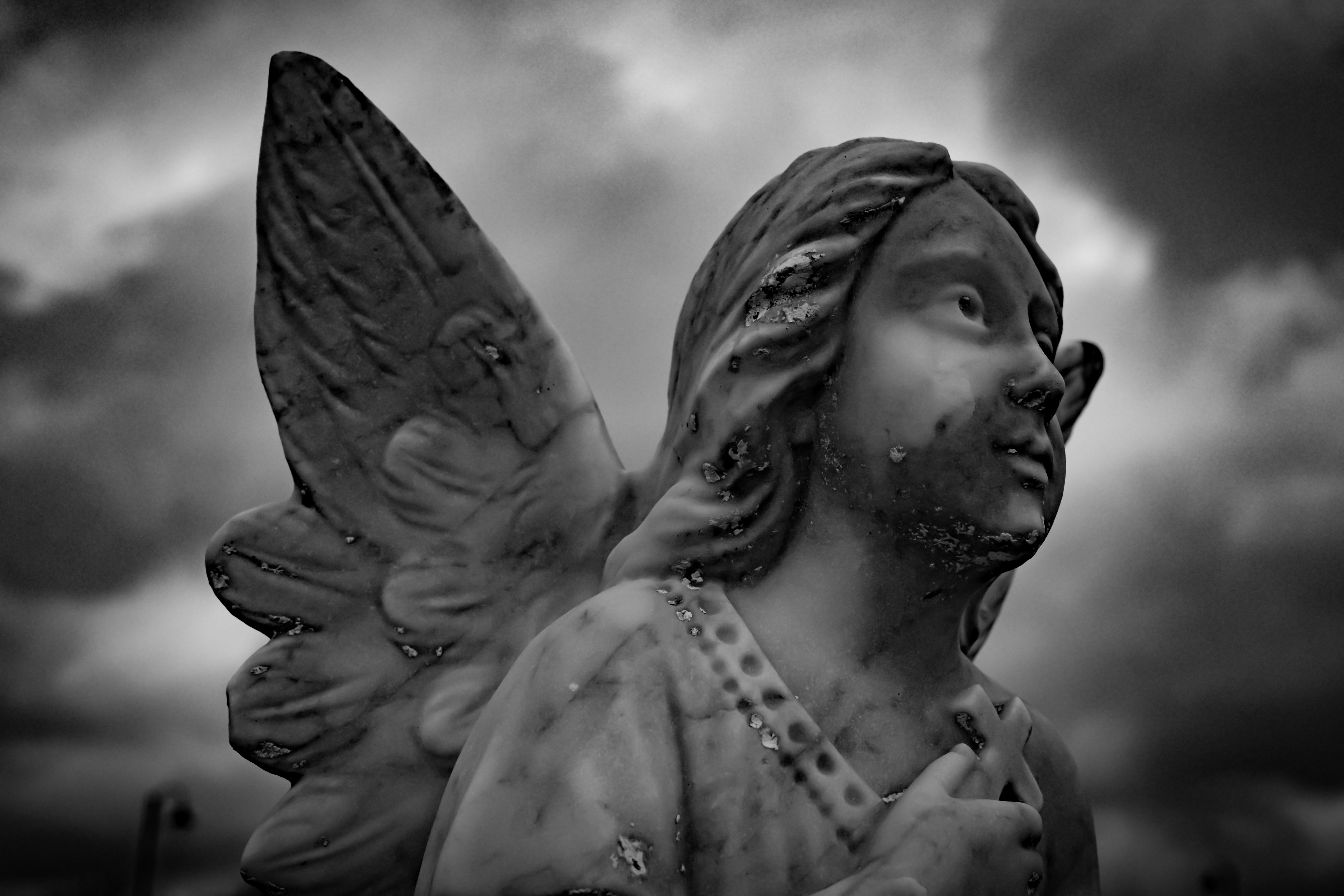 Photo by atelierbyvineeth