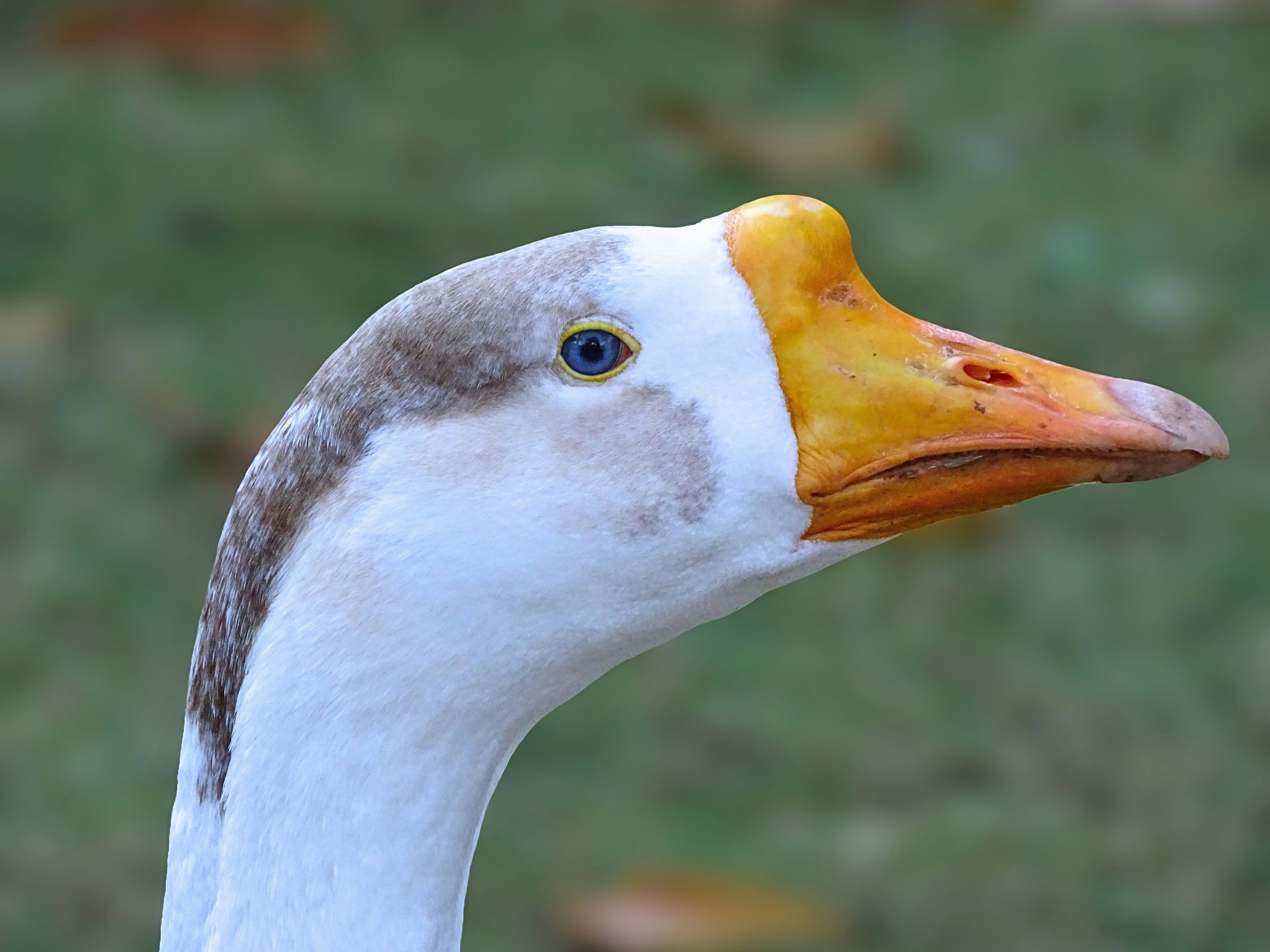 Photo by khushi_gandhi2605