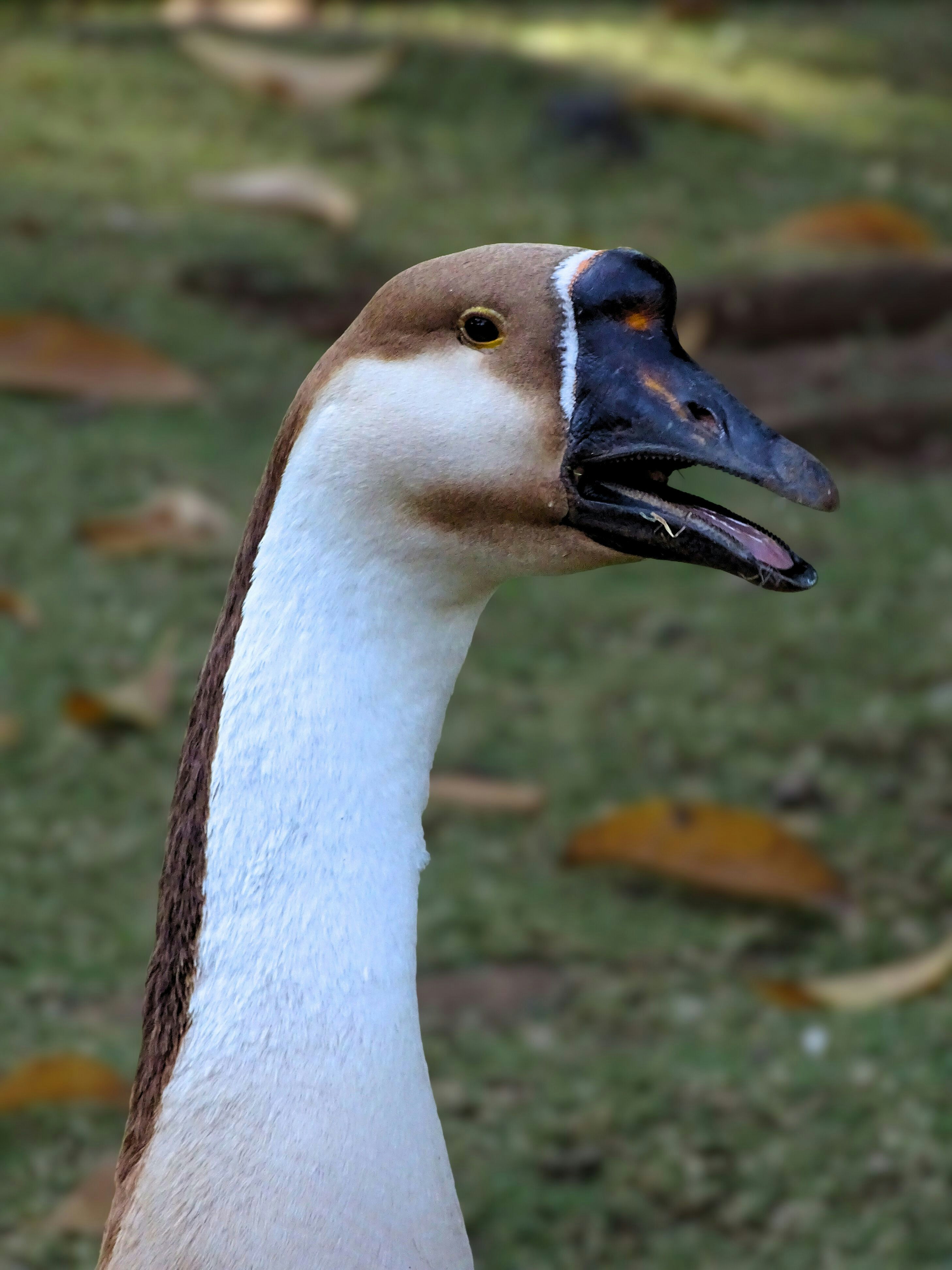 Photo by khushi_gandhi2605