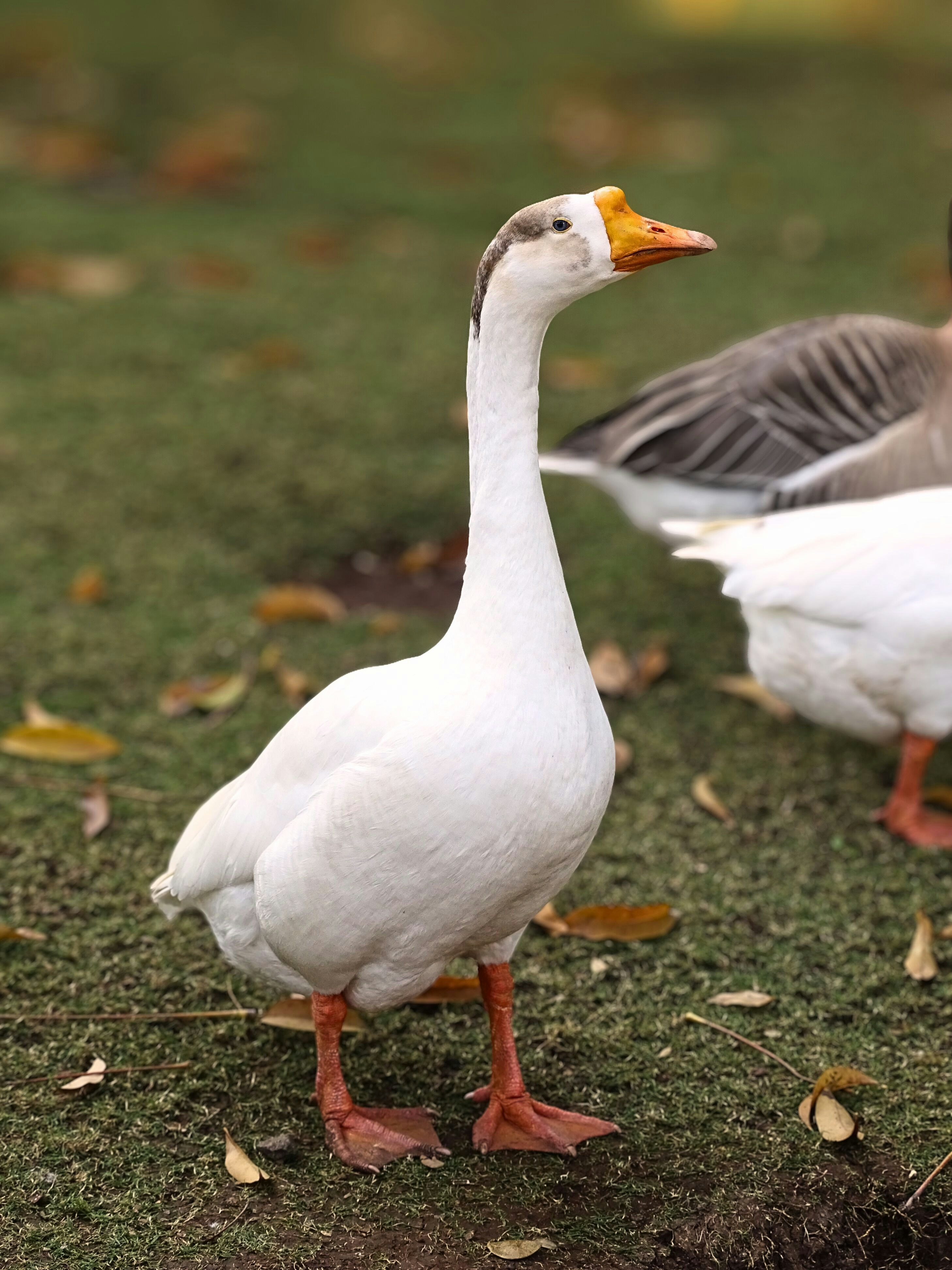 Photo by khushi_gandhi2605