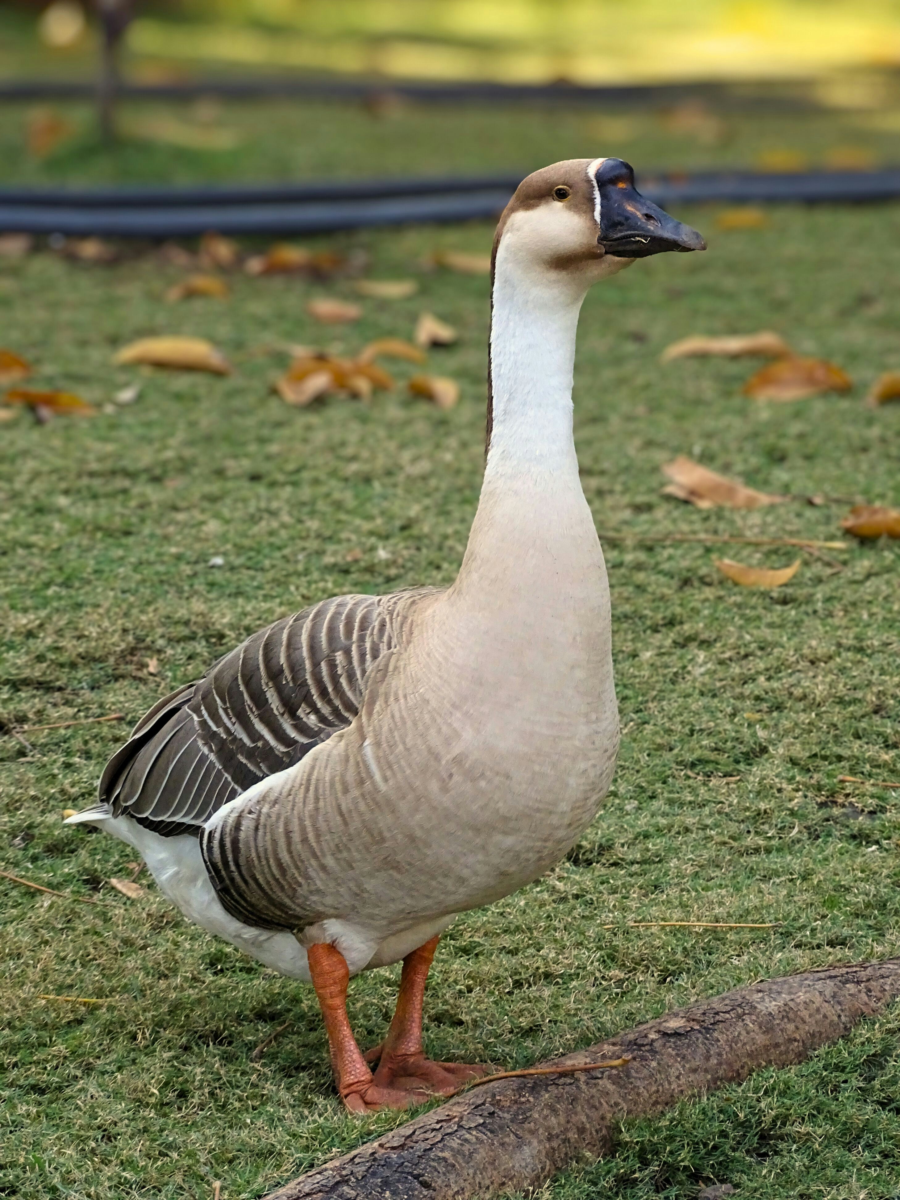 Photo by khushi_gandhi2605