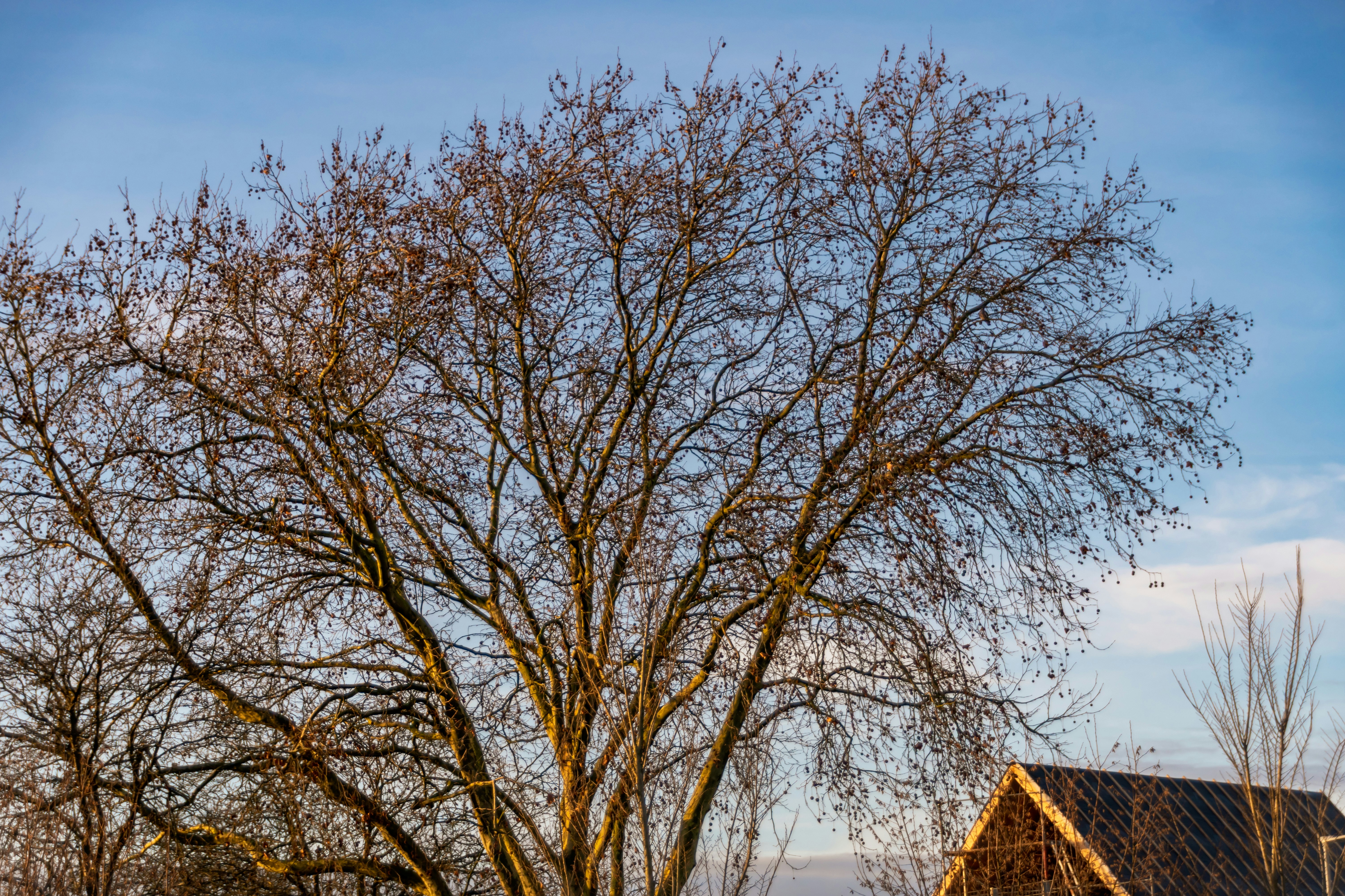 Photo by skstrannik