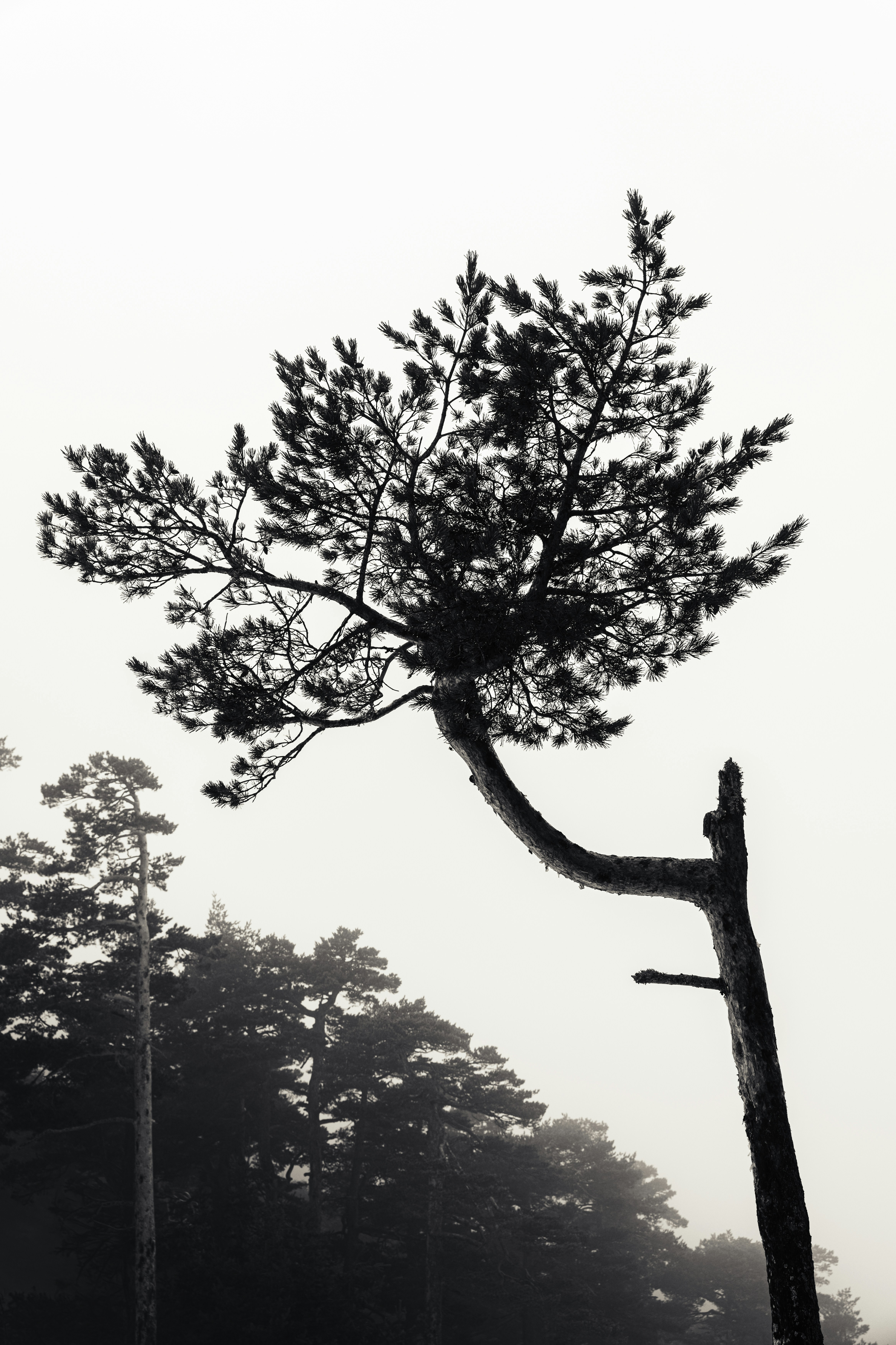 Photo by raphael_nicolas